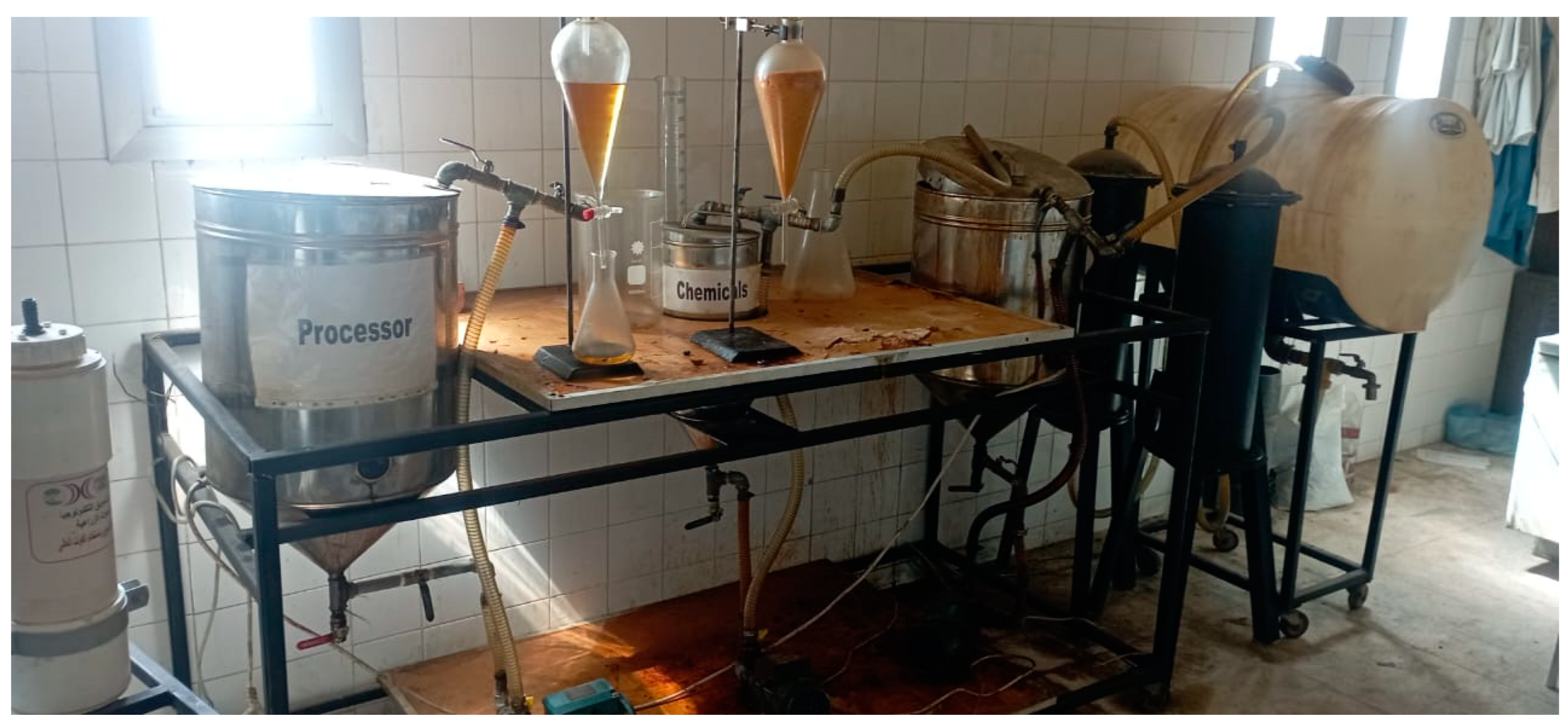 Sustainability 16 02896 g001