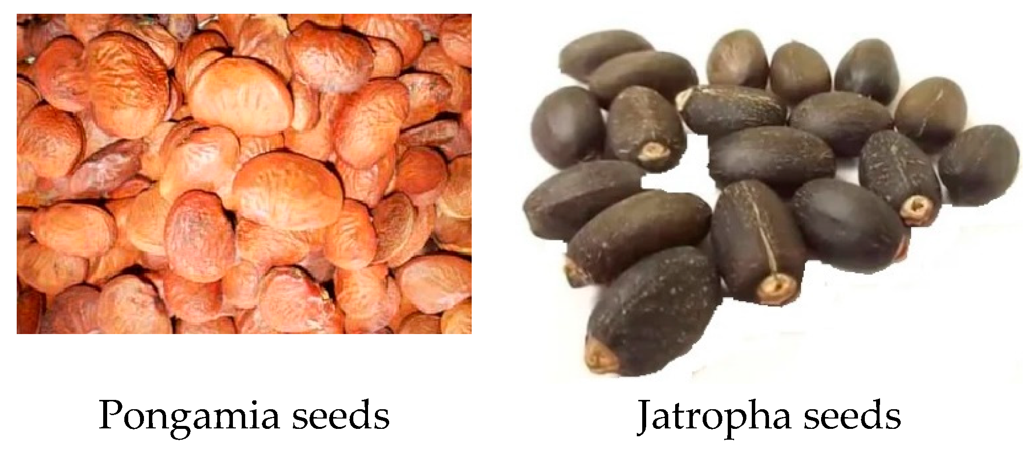 Sustainability 16 02896 g002