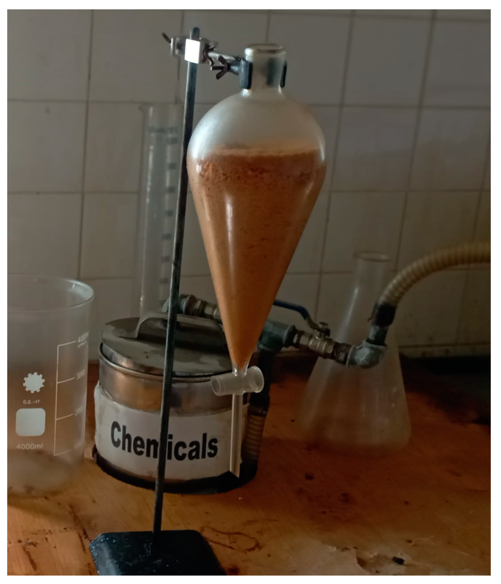 Sustainability 16 02896 g006