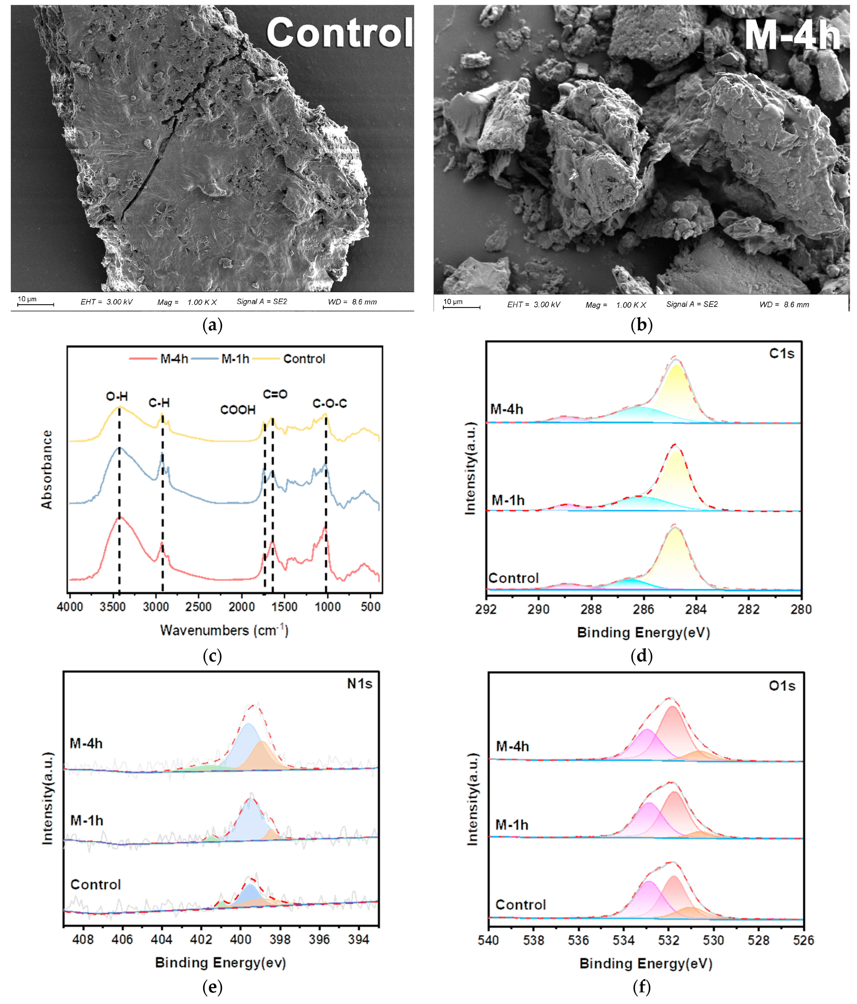 Sustainability 16 02933 g004