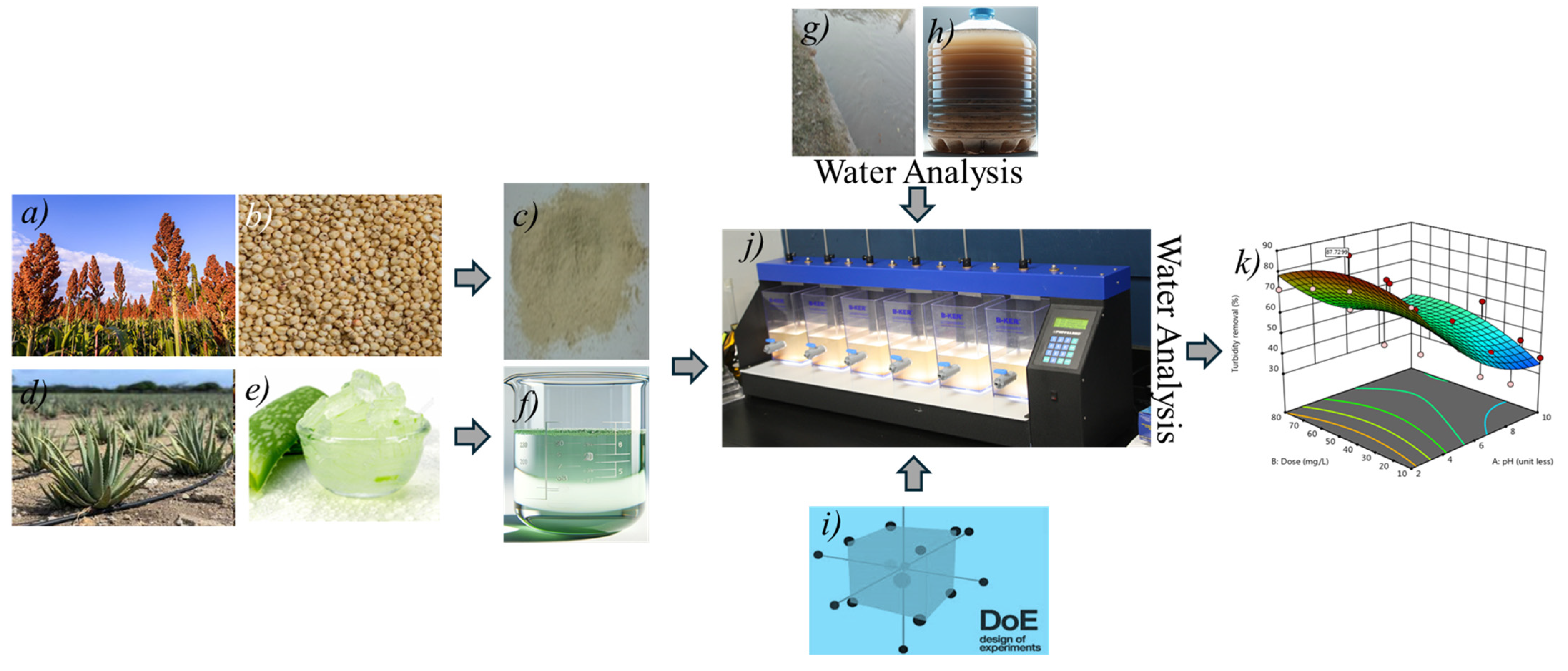 Sustainability 16 02941 g001
