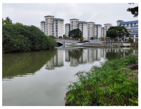 Sustainability 16 02957 i004