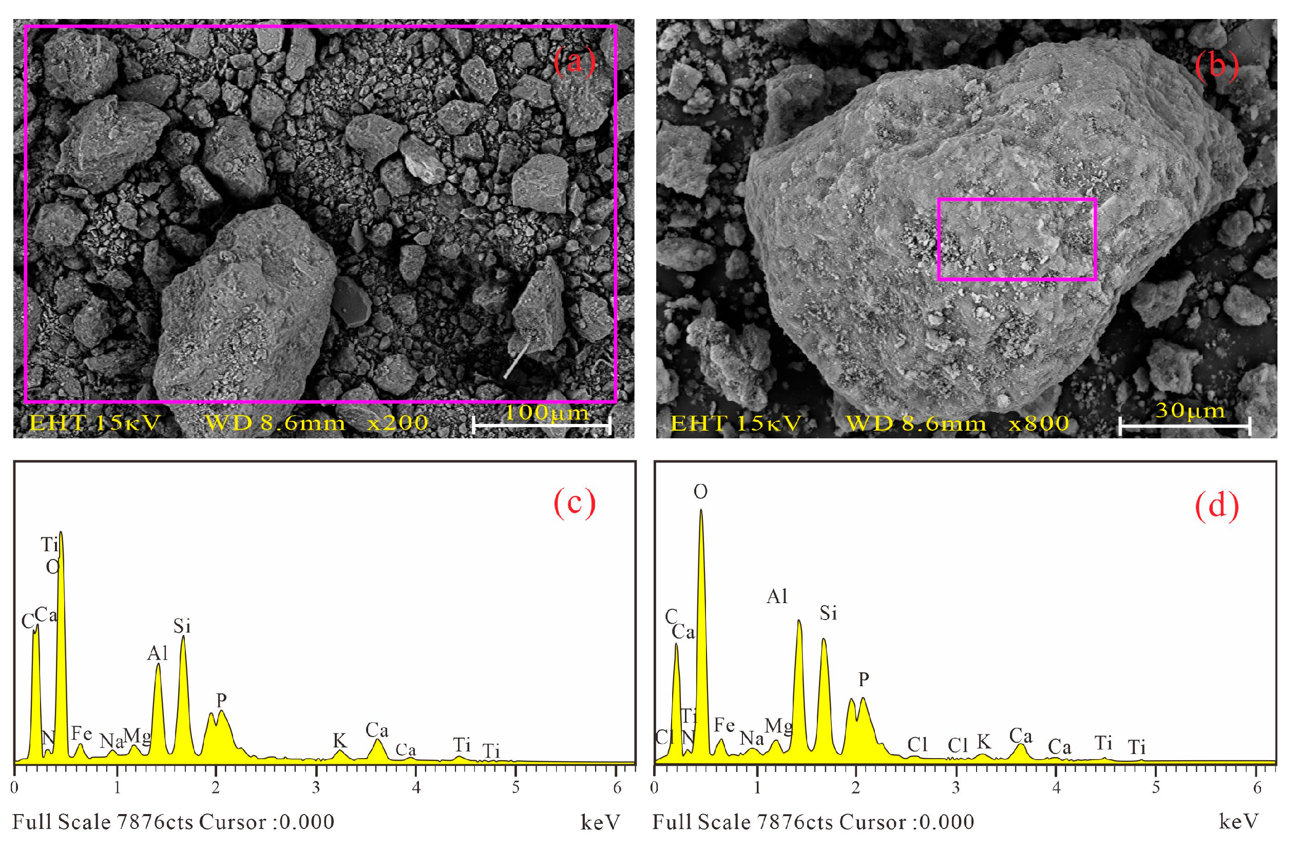 Sustainability 16 02972 g003