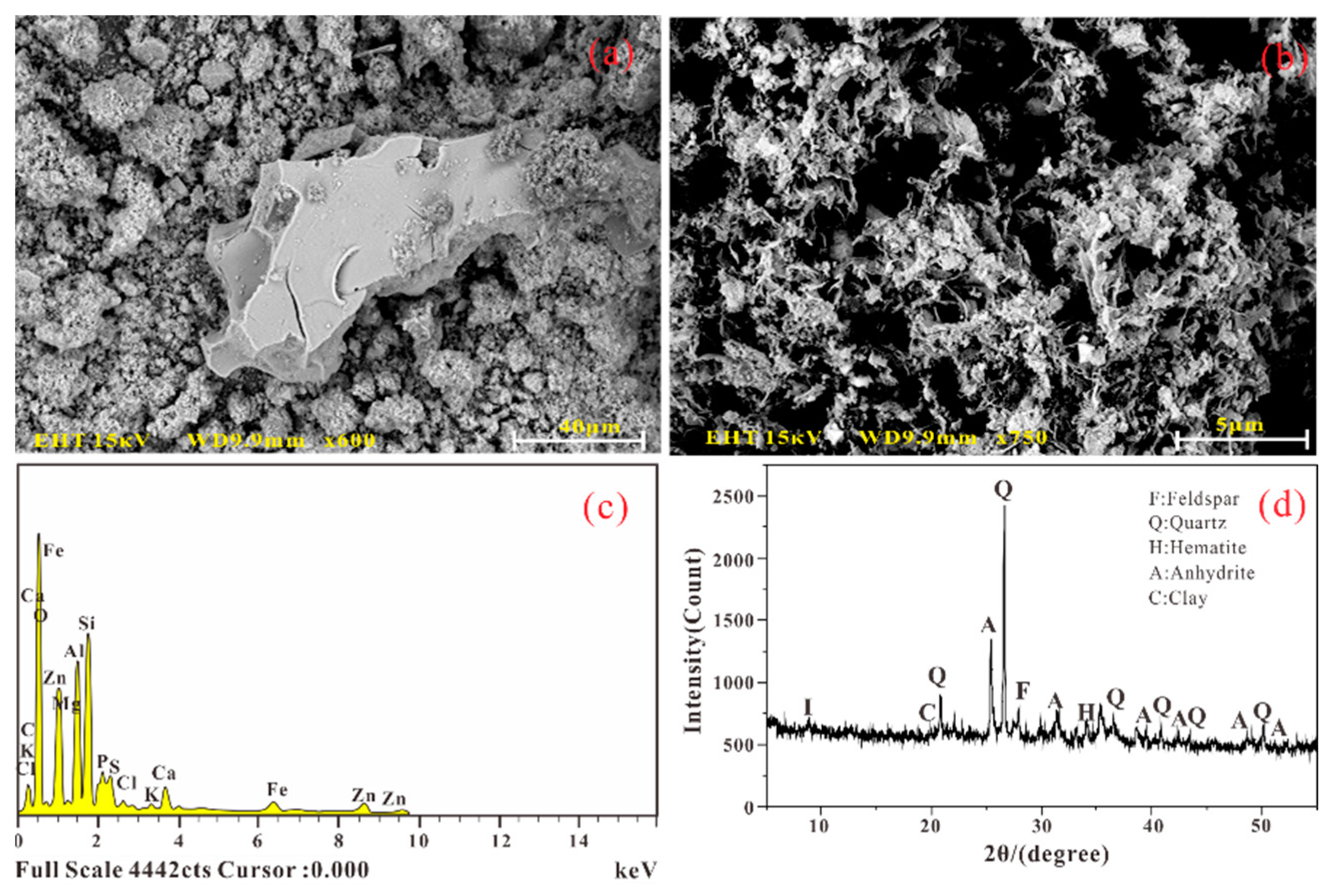 Sustainability 16 02972 g007