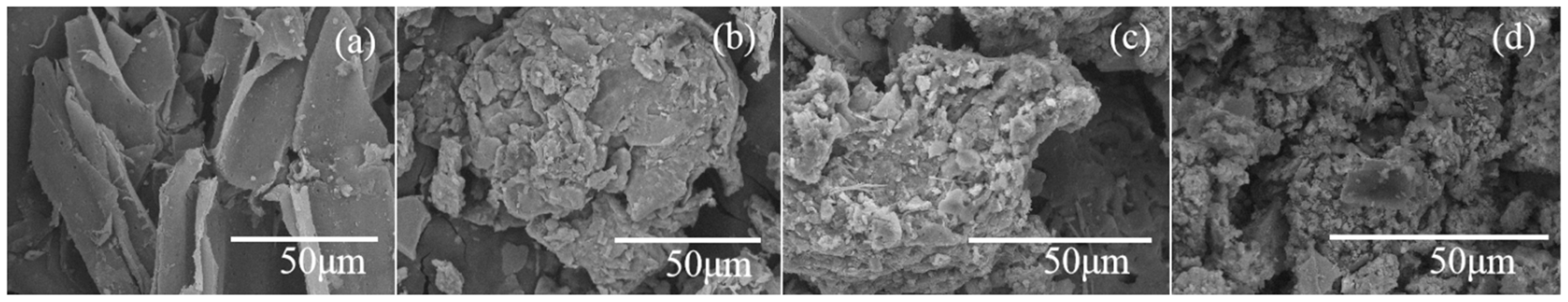 Sustainability 16 02981 g002