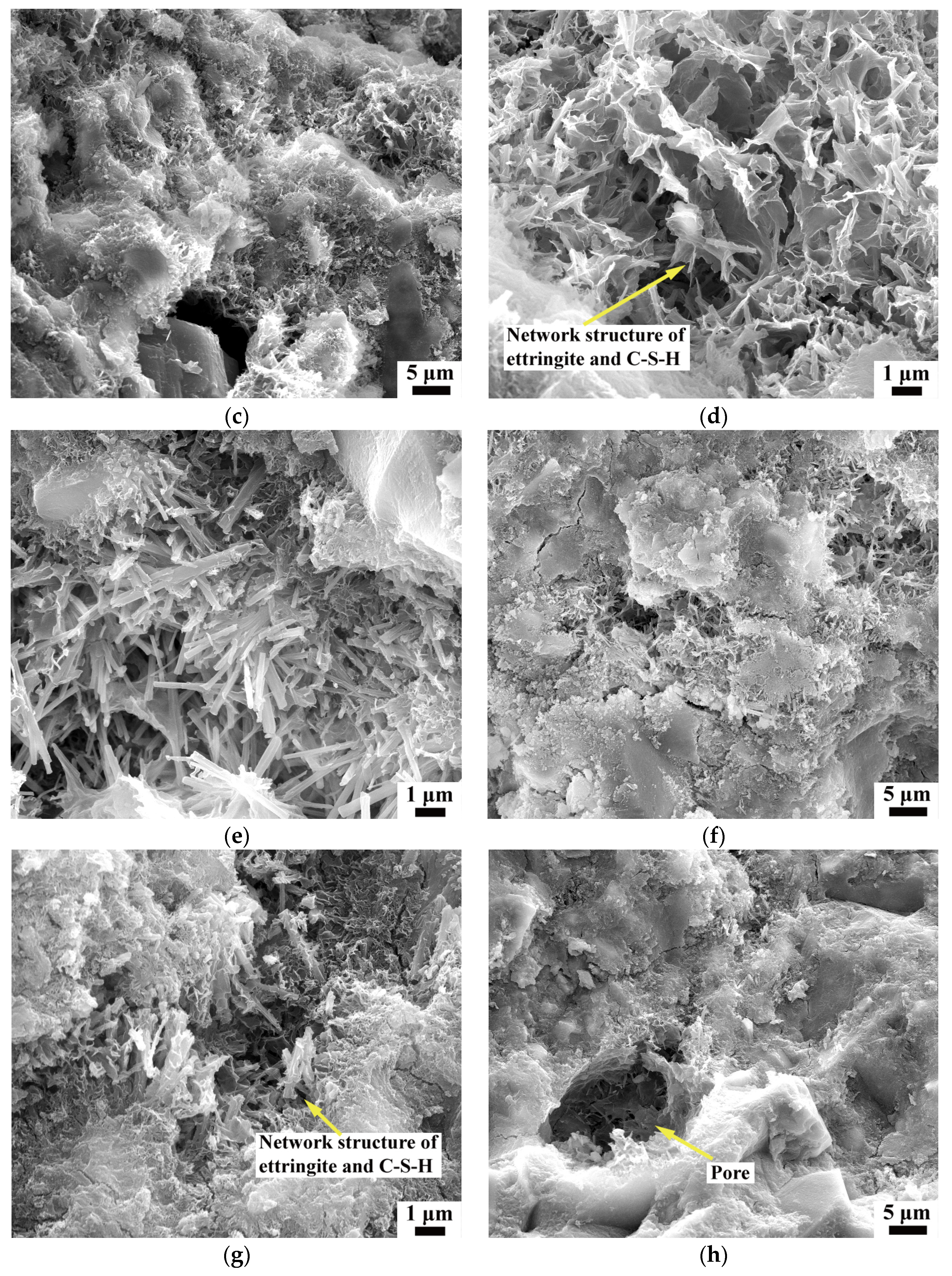Sustainability 16 03008 g008b