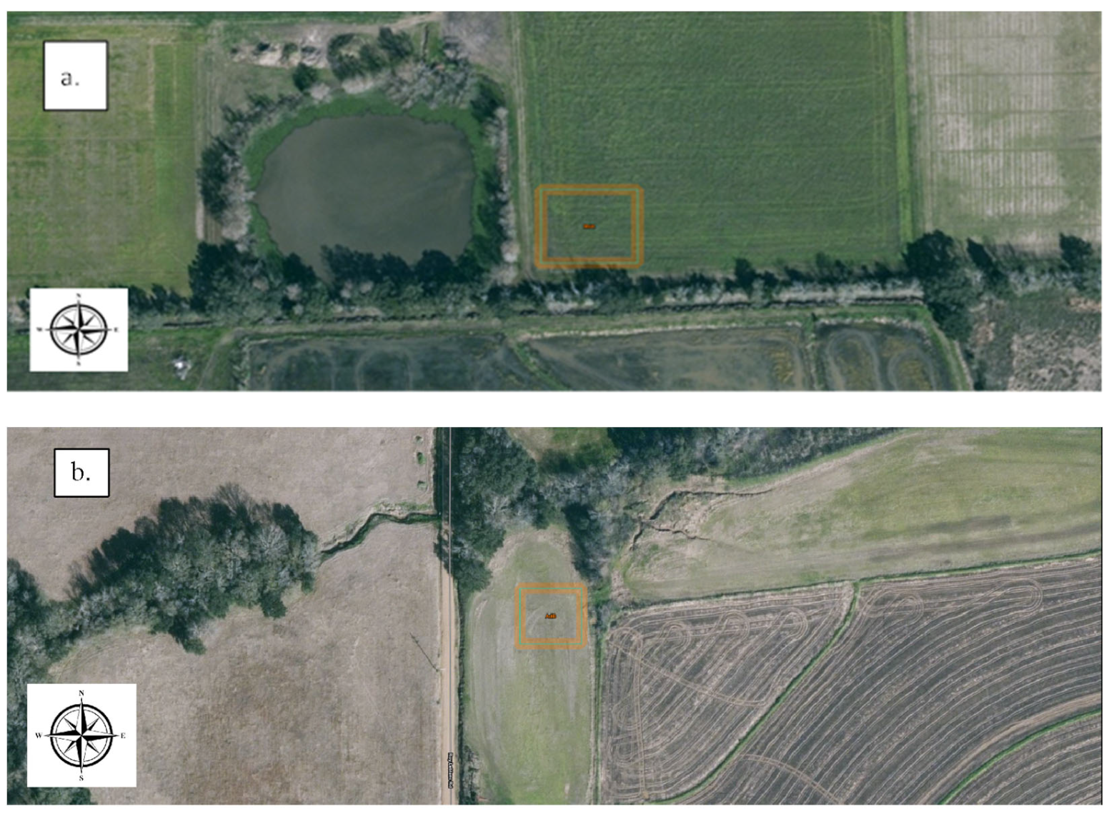 Sustainability 16 03019 g001