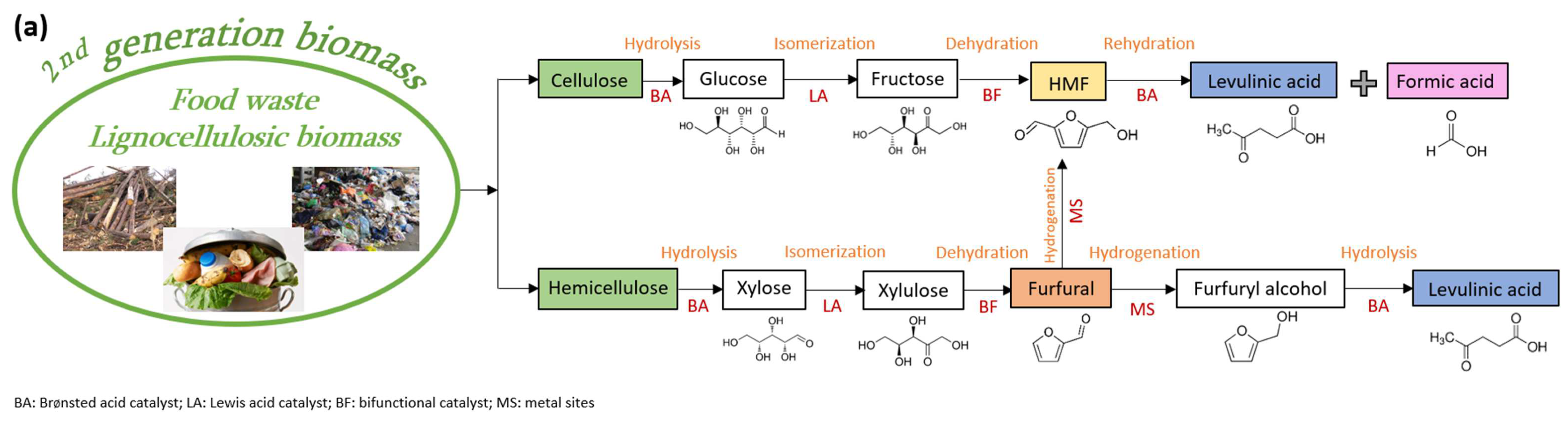 Sustainability 16 03038 g001a