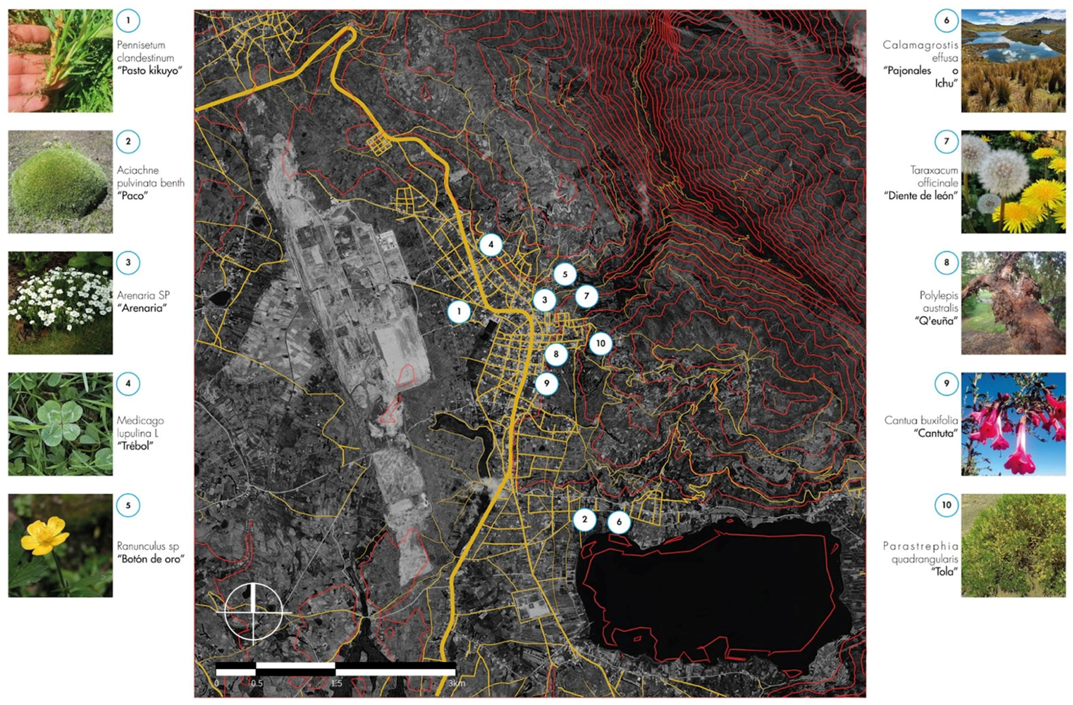 Sustainability 16 03068 g012 Sustainability 16 03068 g012