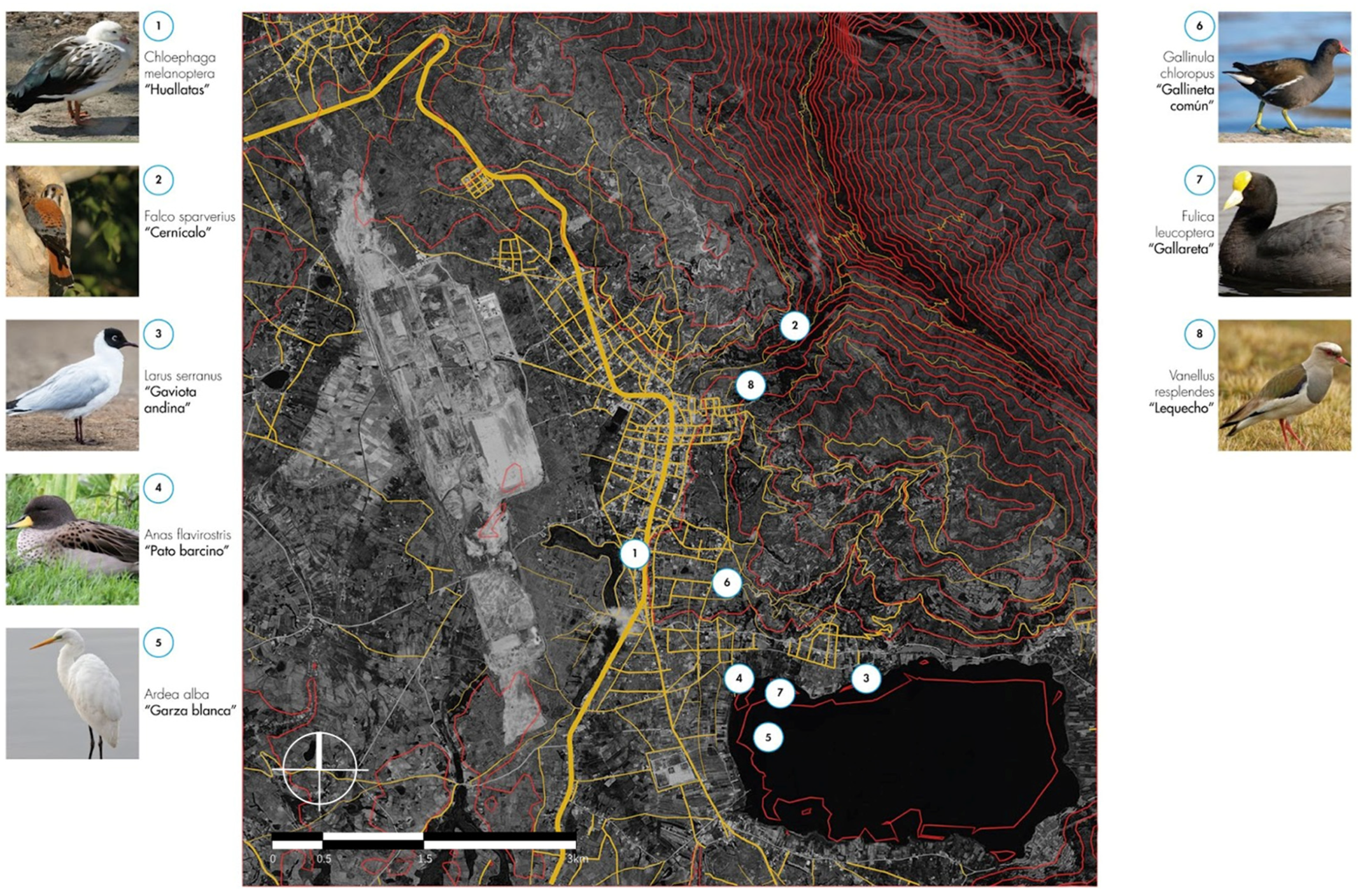 Sustainability 16 03068 g013 Sustainability 16 03068 g013