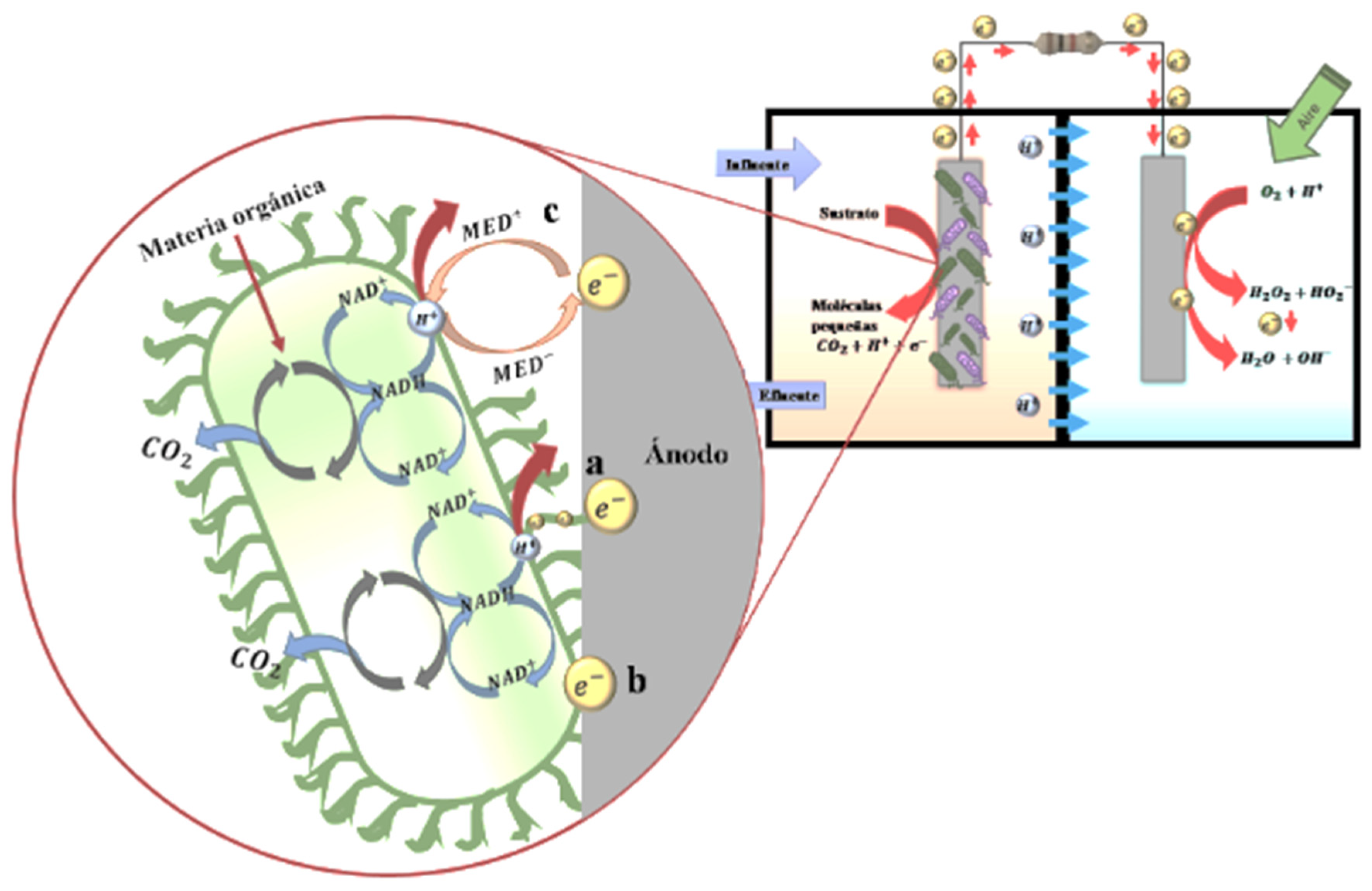 Sustainability 16 03068 g025 Sustainability 16 03068 g025