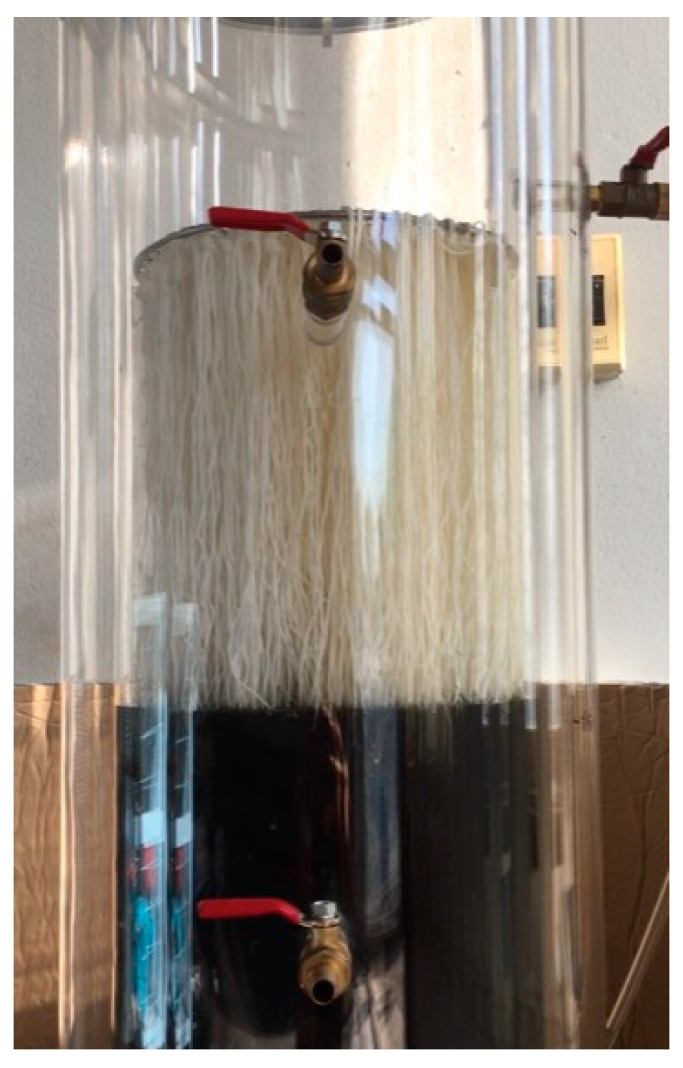 Sustainability 16 03076 g001