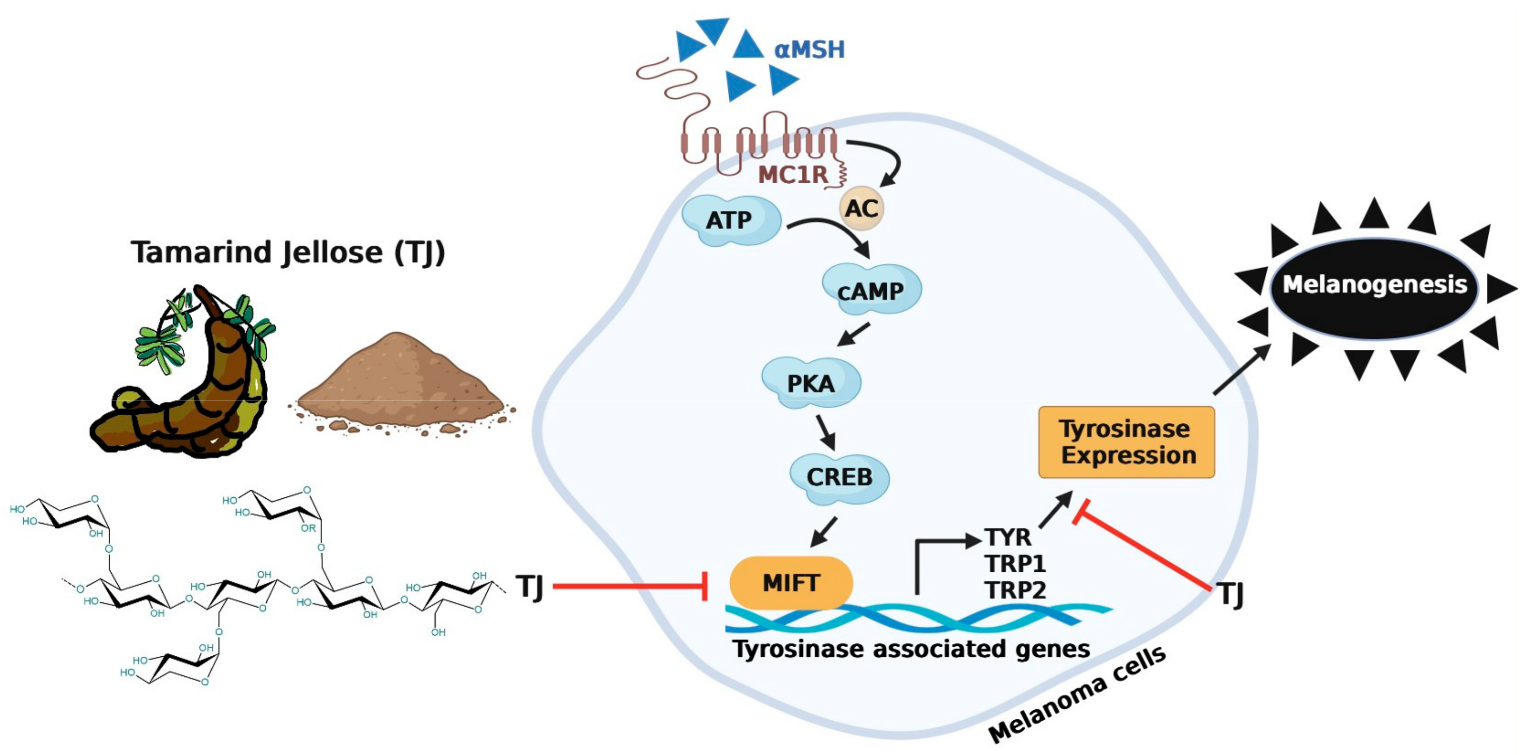 Sustainability 16 03114 g008