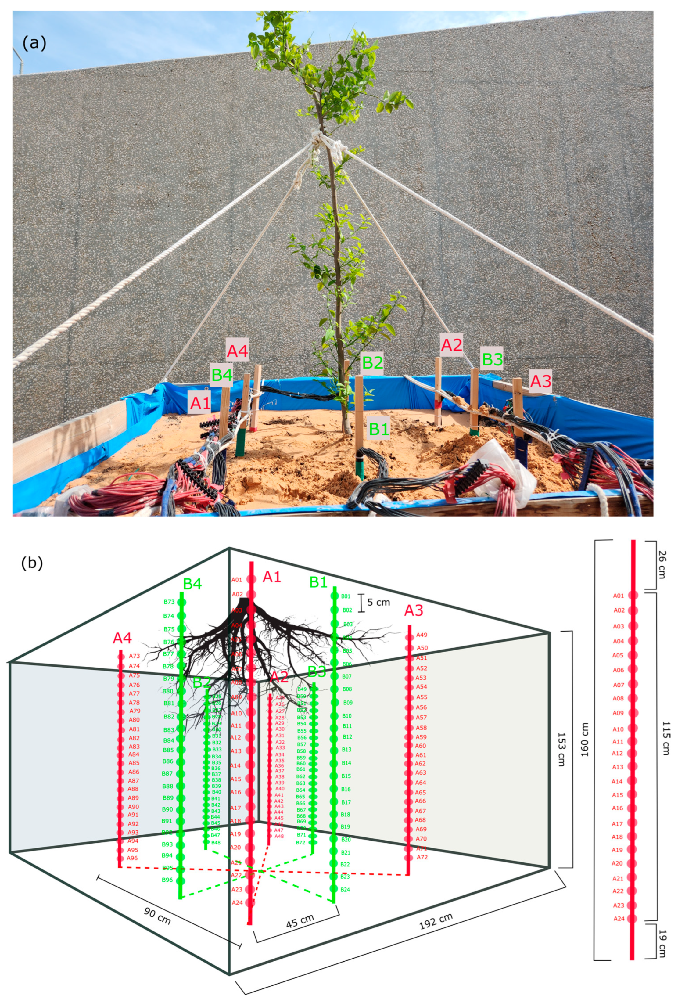 Sustainability 16 03130 g002