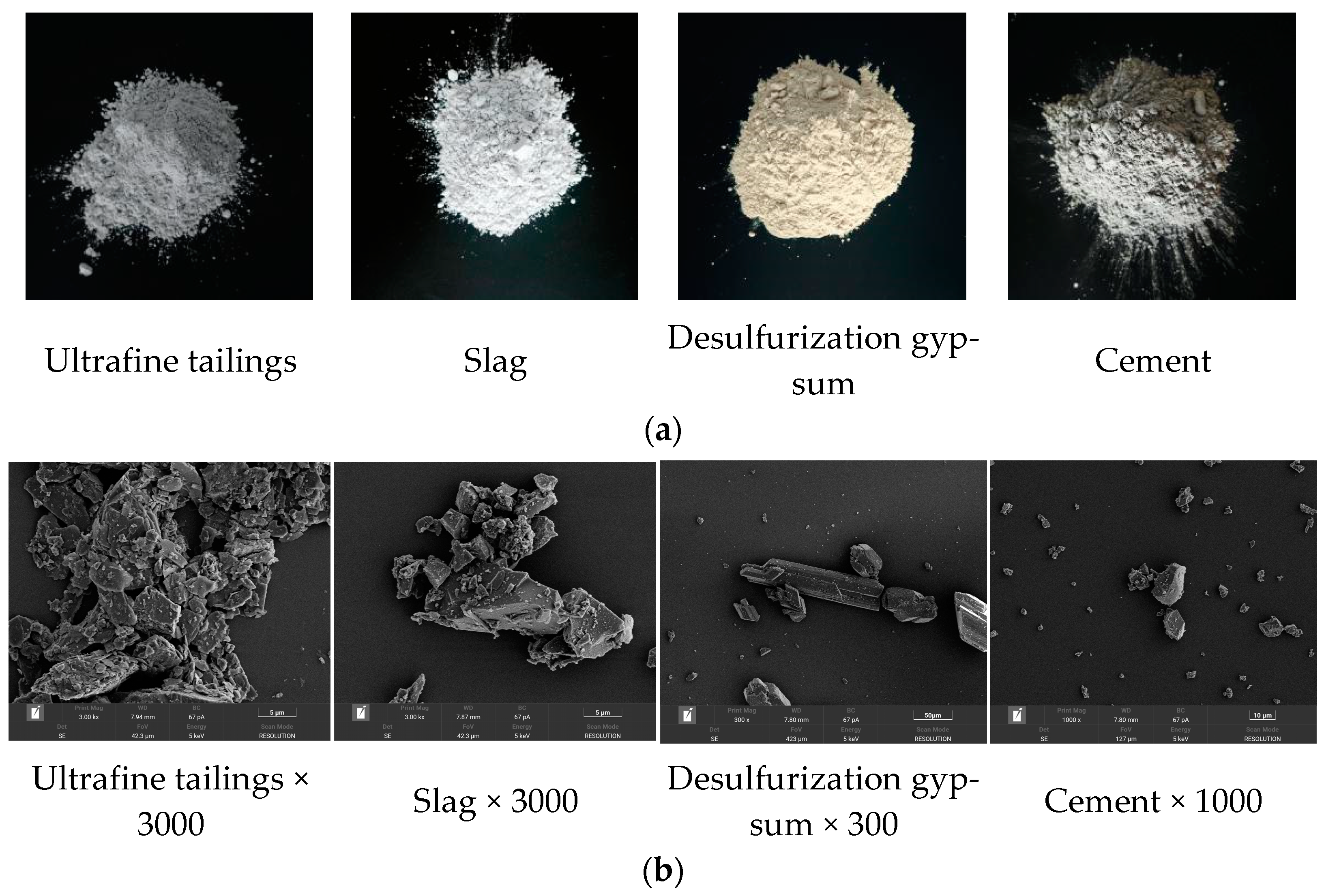 Sustainability 16 03143 g002
