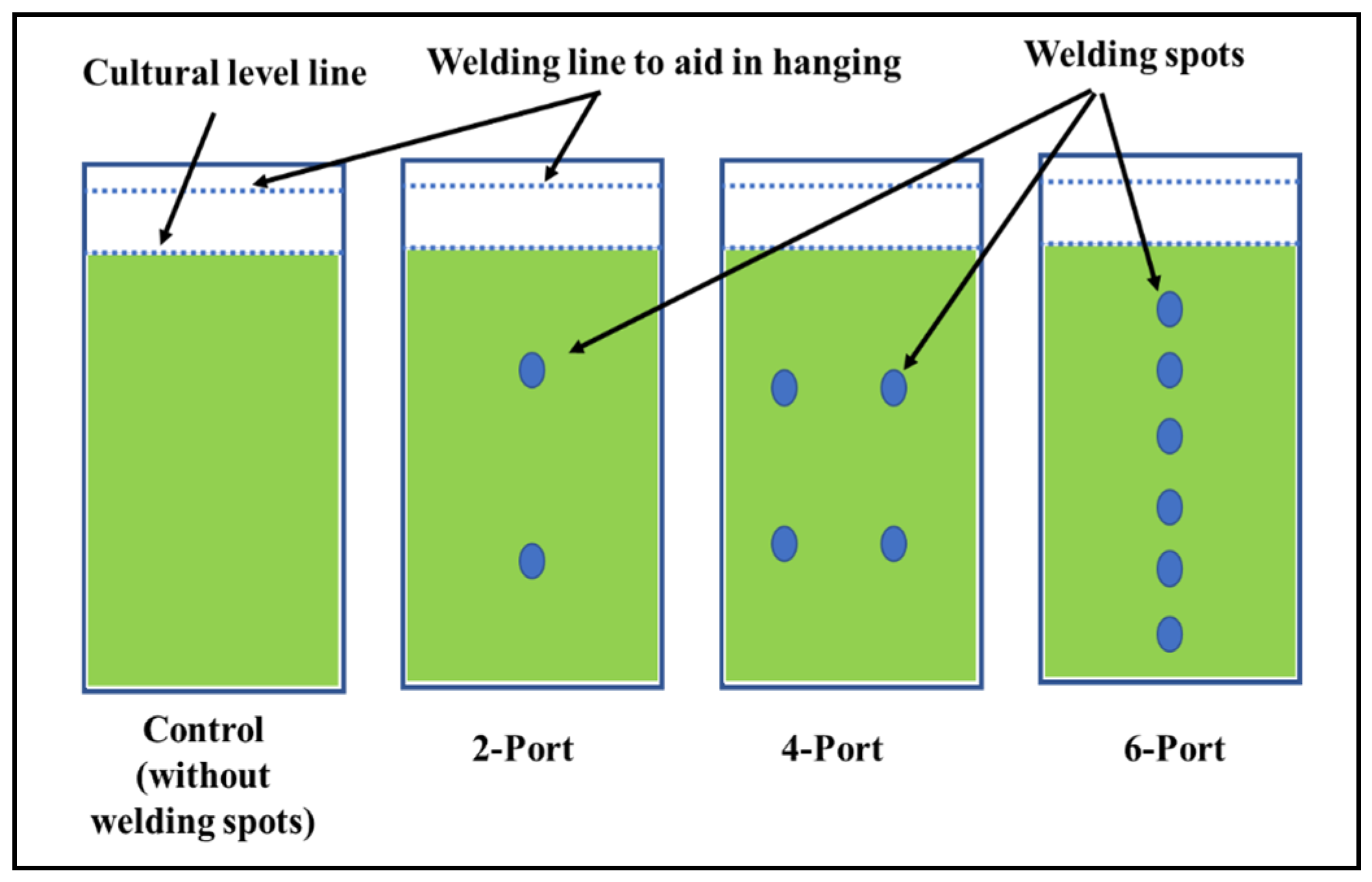 Sustainability 16 03148 g001