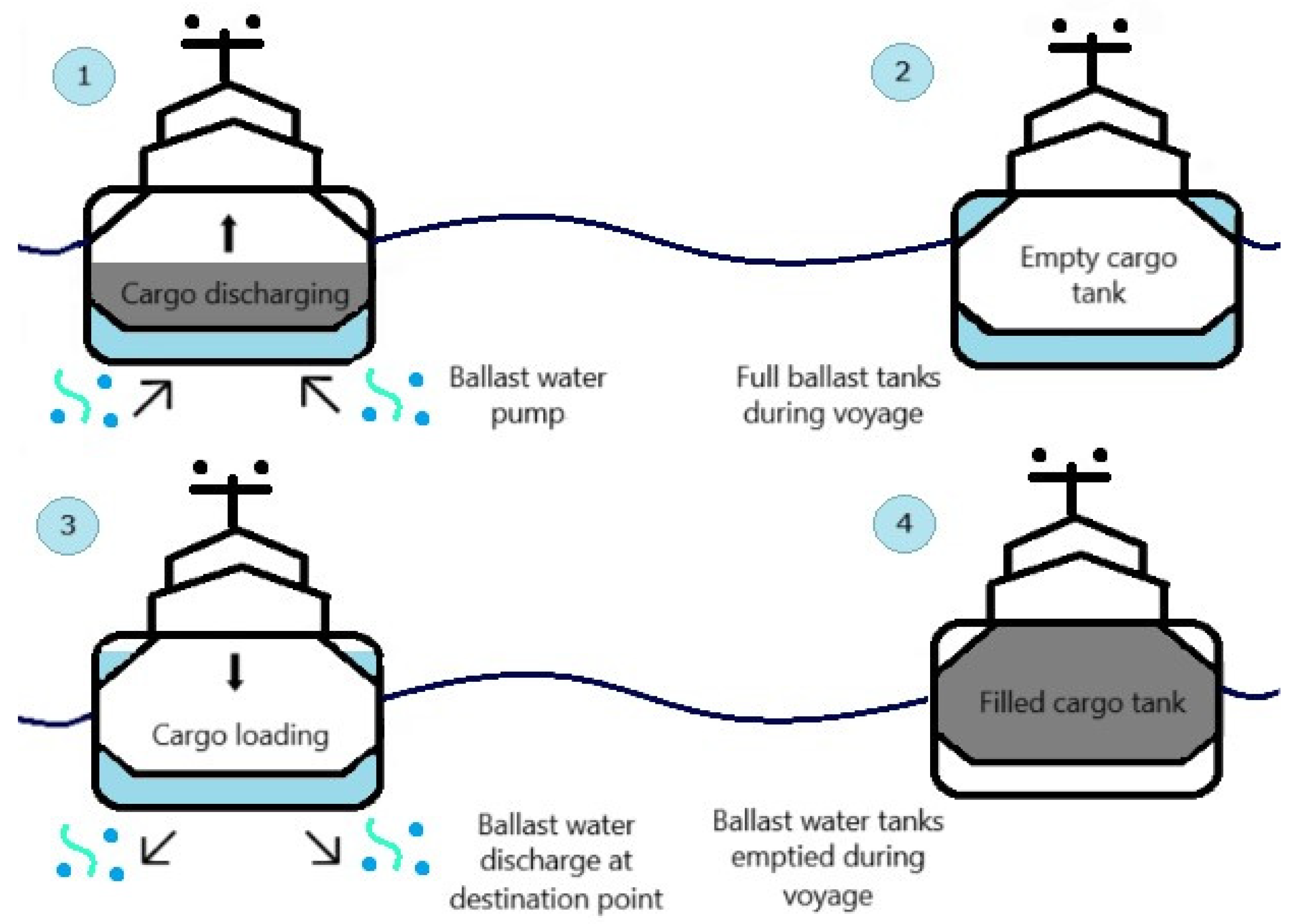 A Fuzzy Ballast Water Risk Assessment Model in Maritime Transport
