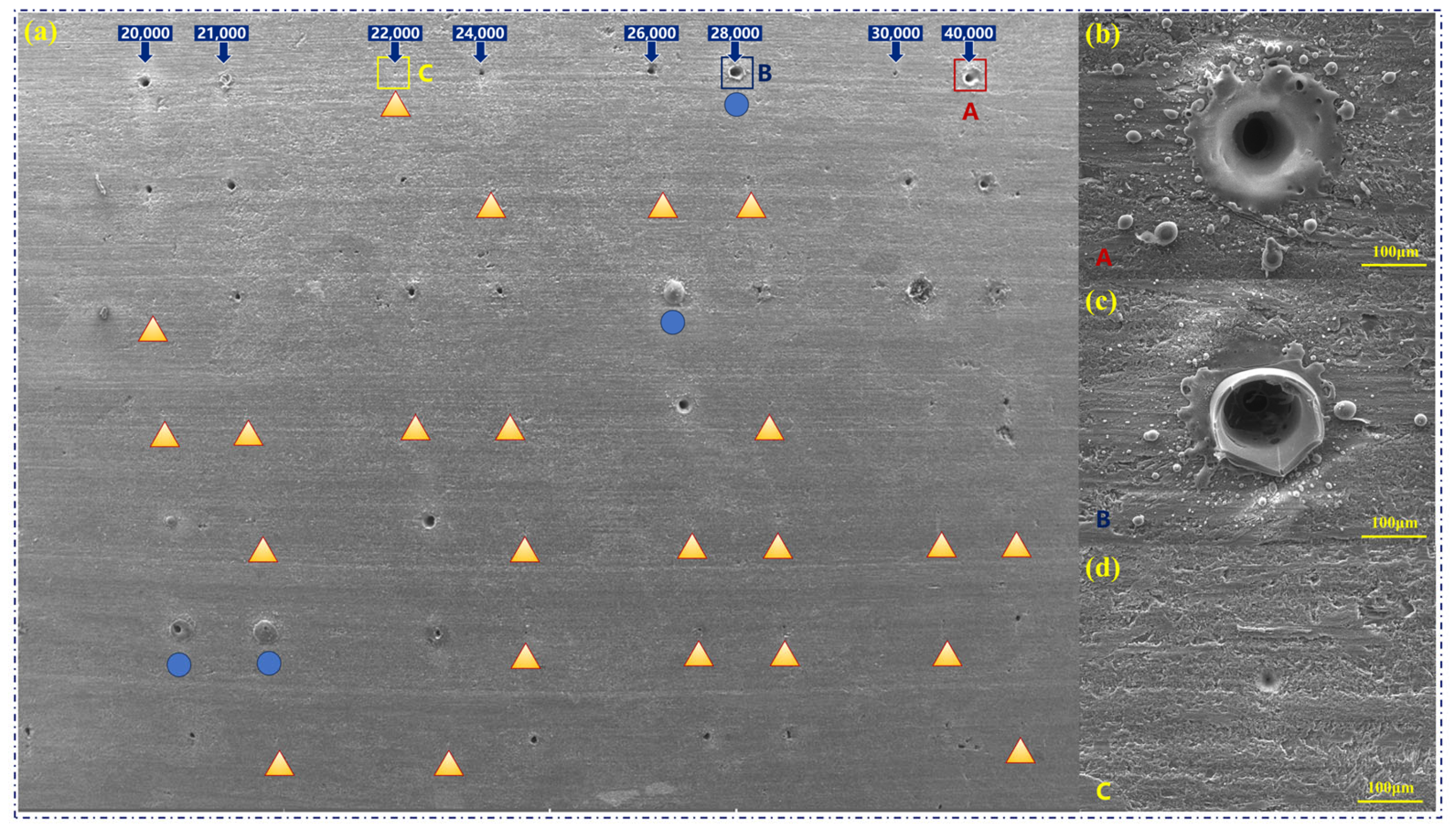 Sustainability 16 03169 g002