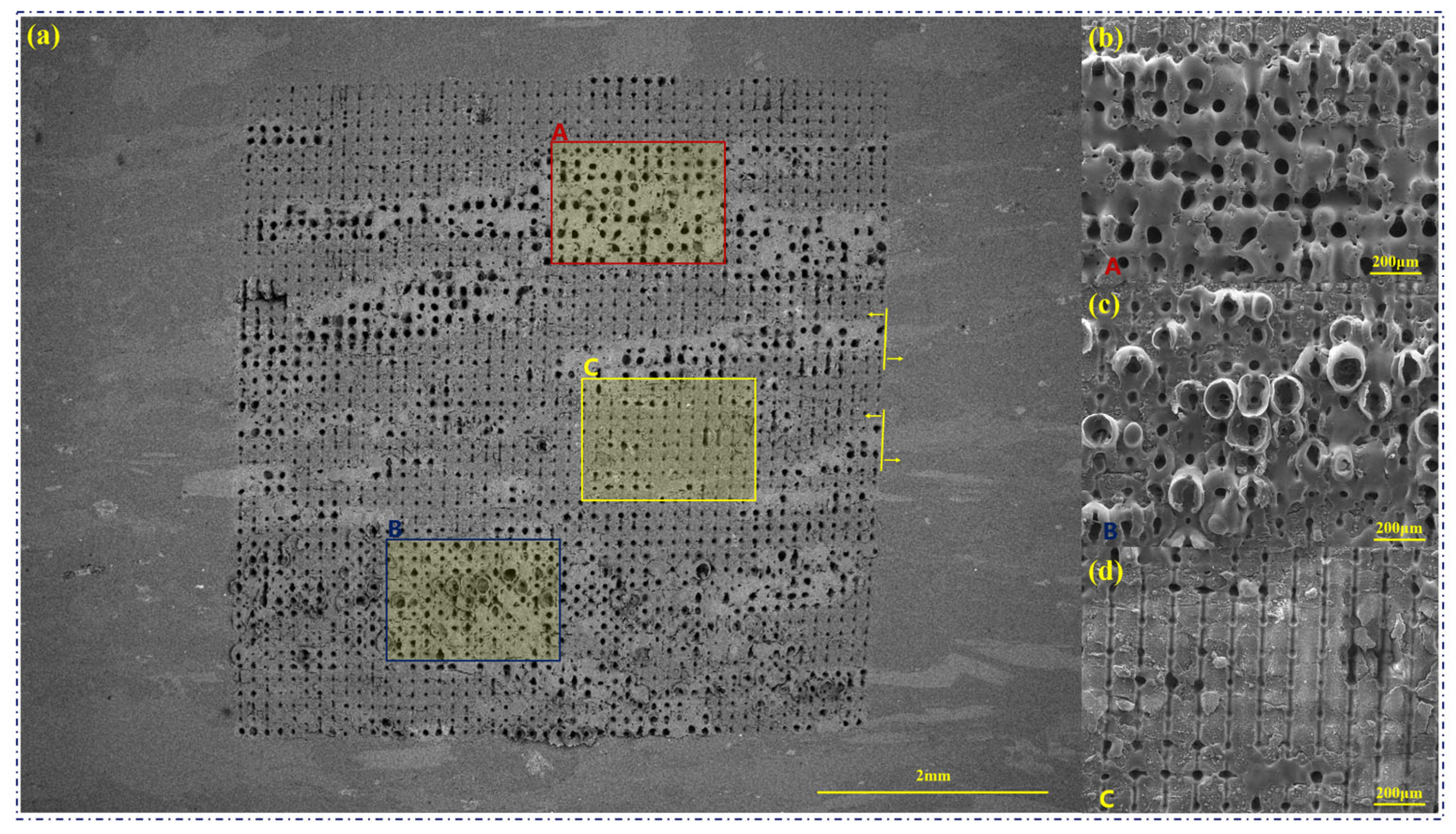 Sustainability 16 03169 g003