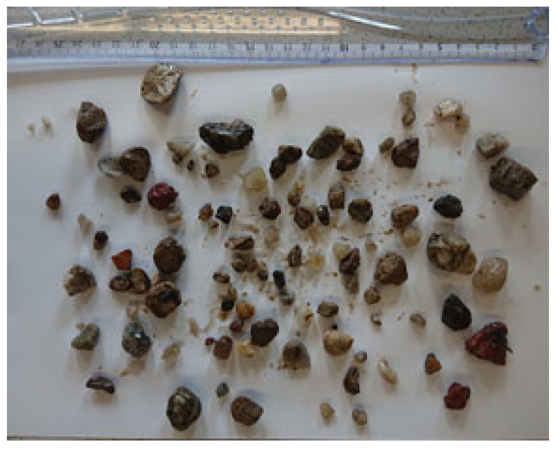 Sustainability 16 03177 g005