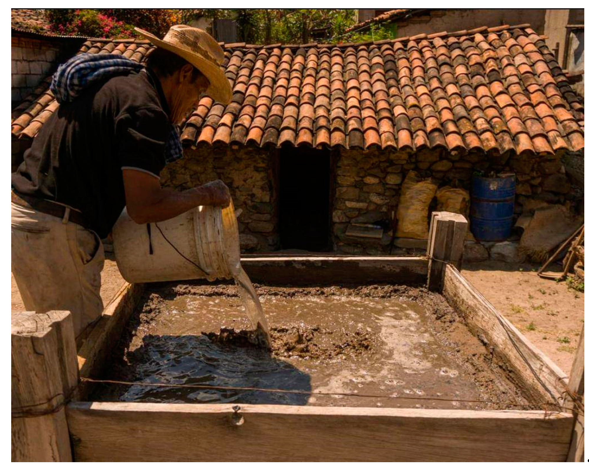 Sustainability 16 03194 g009