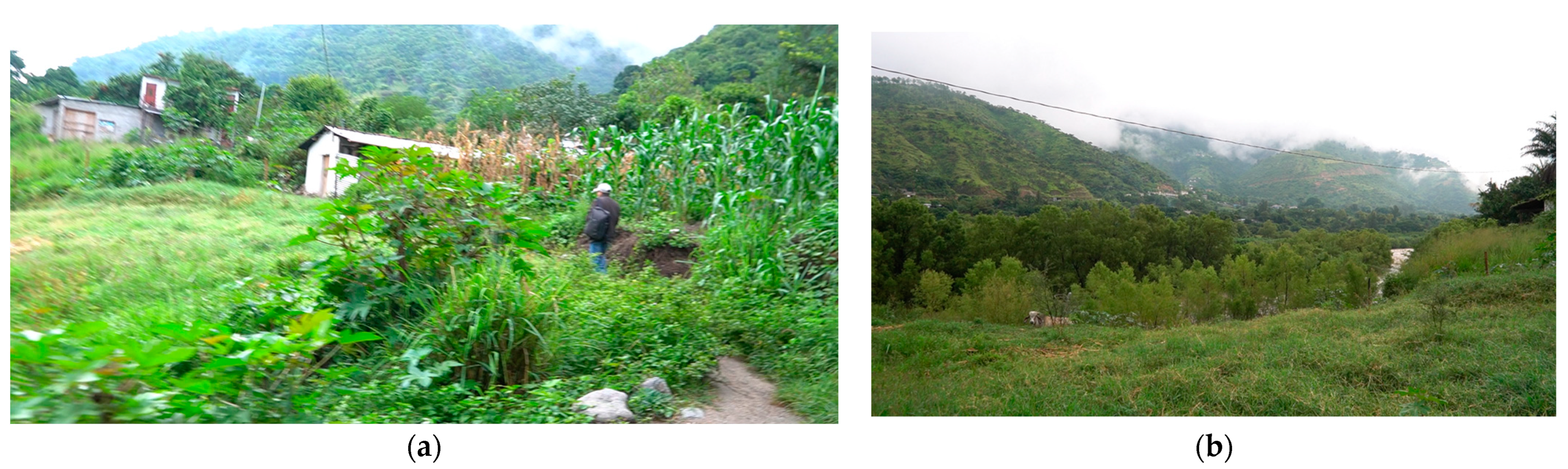 Sustainability 16 03194 g028