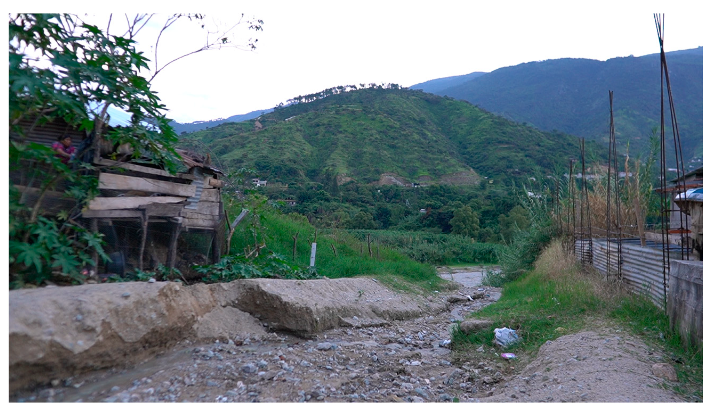 Sustainability 16 03194 g029