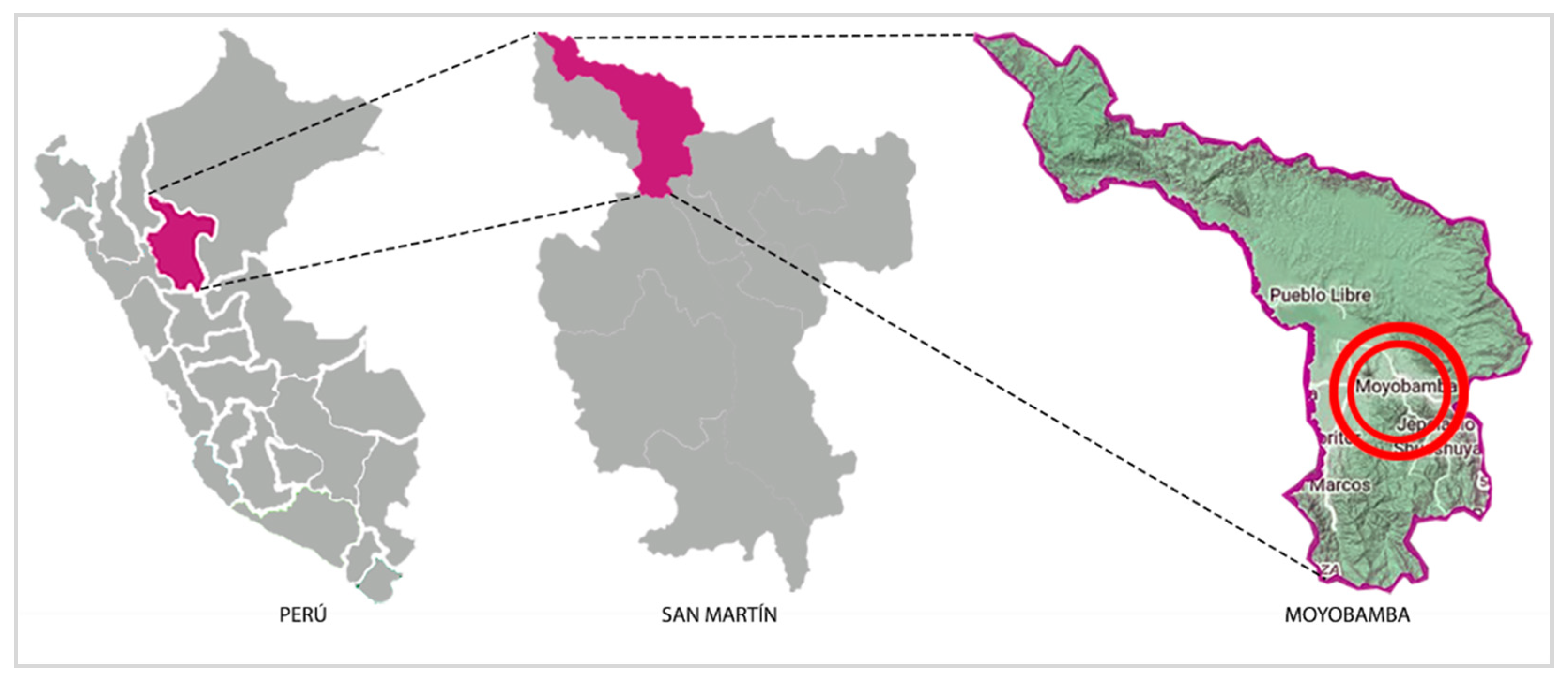 Sustainability 16 03231 g002