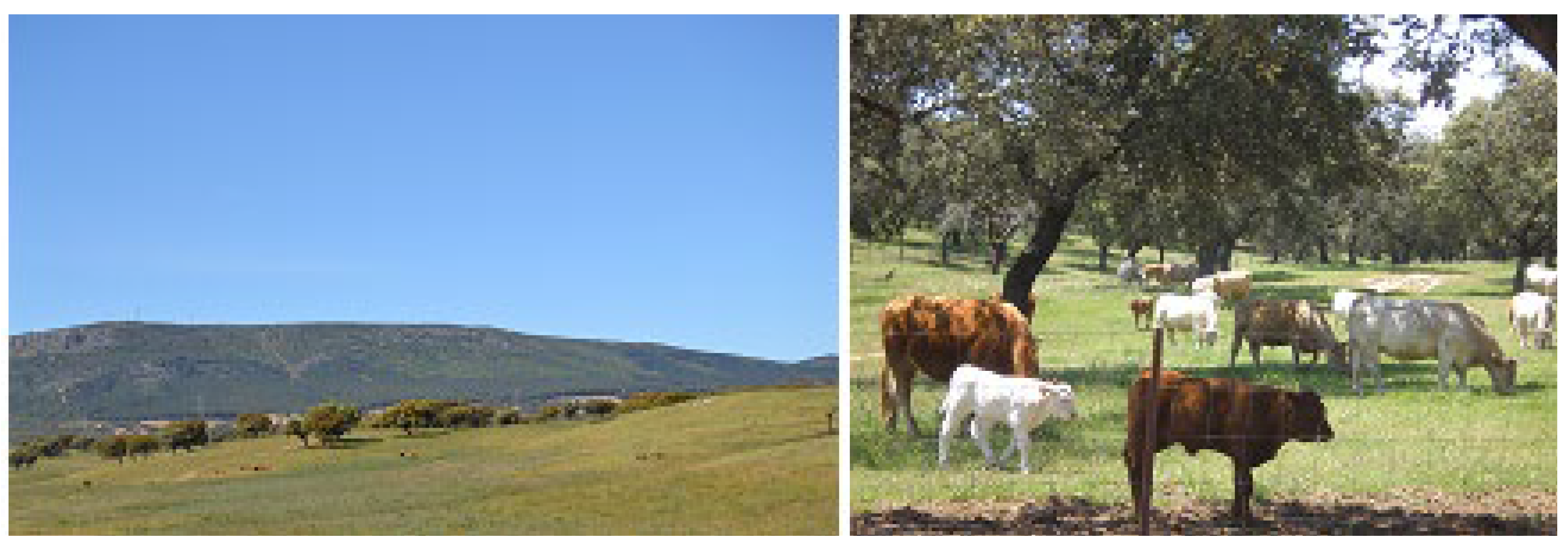 Sustainability 16 03232 g002 Sustainability 16 03232 g002