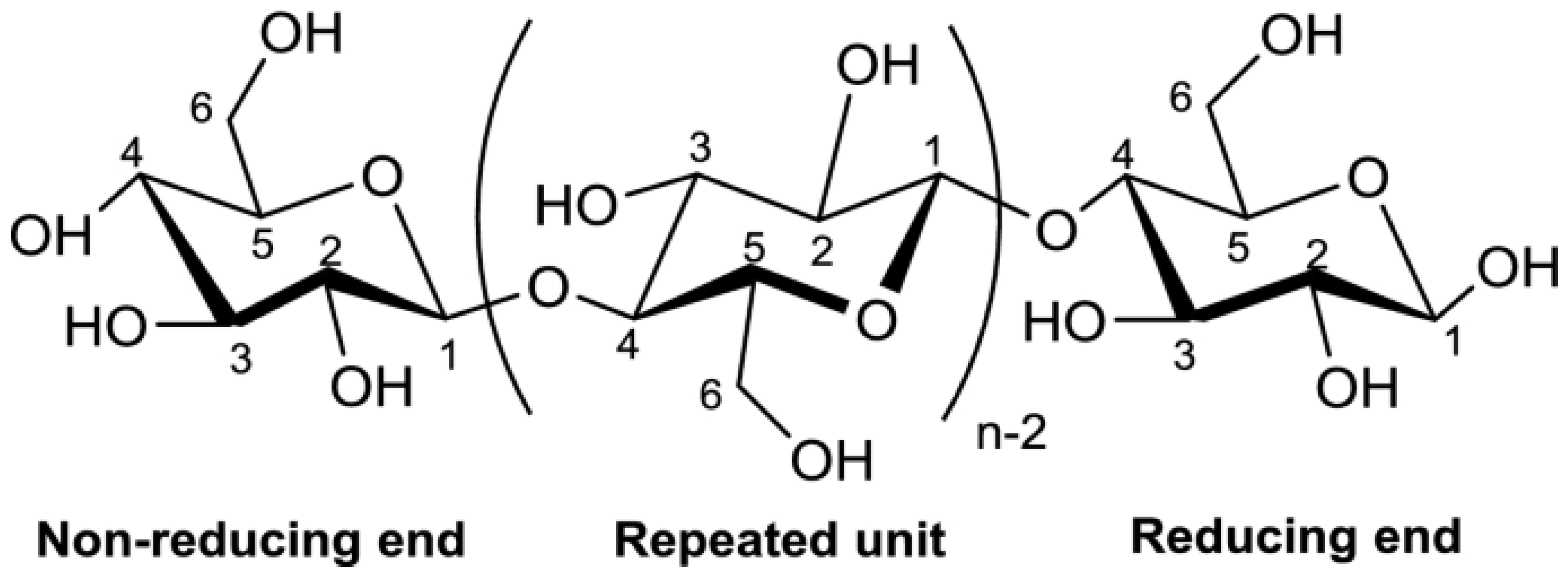 Sustainability 16 03265 g001