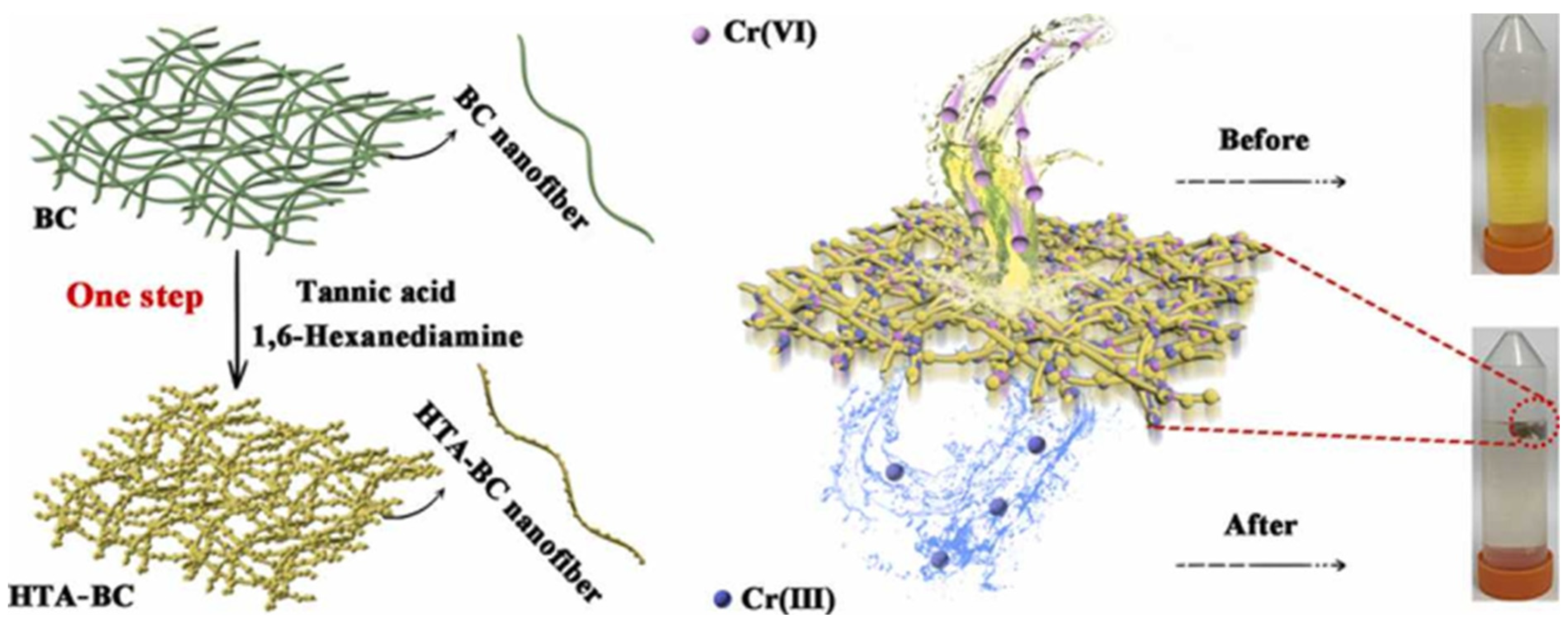 Sustainability 16 03265 g005