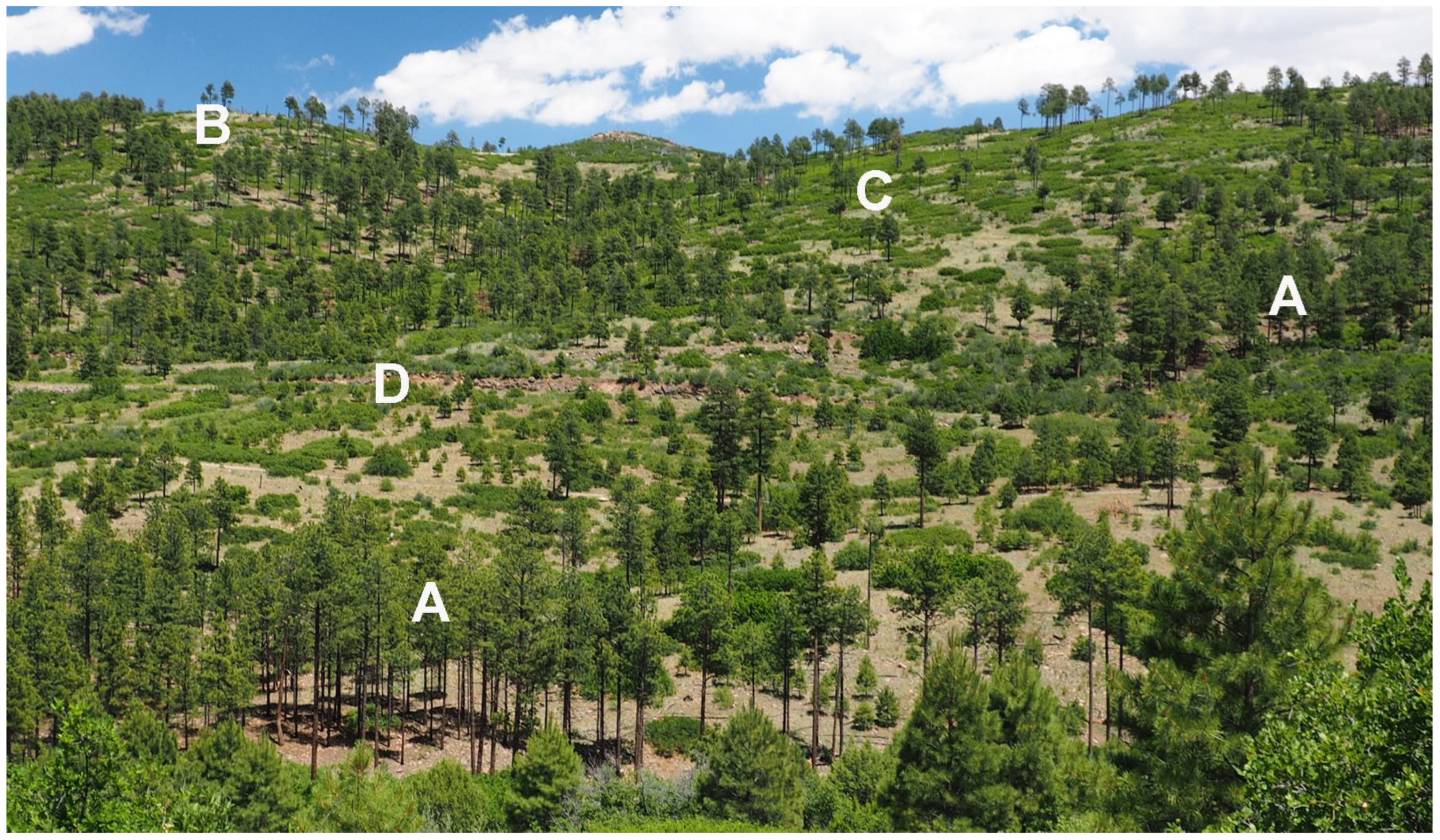 Sustainability 16 03270 g001