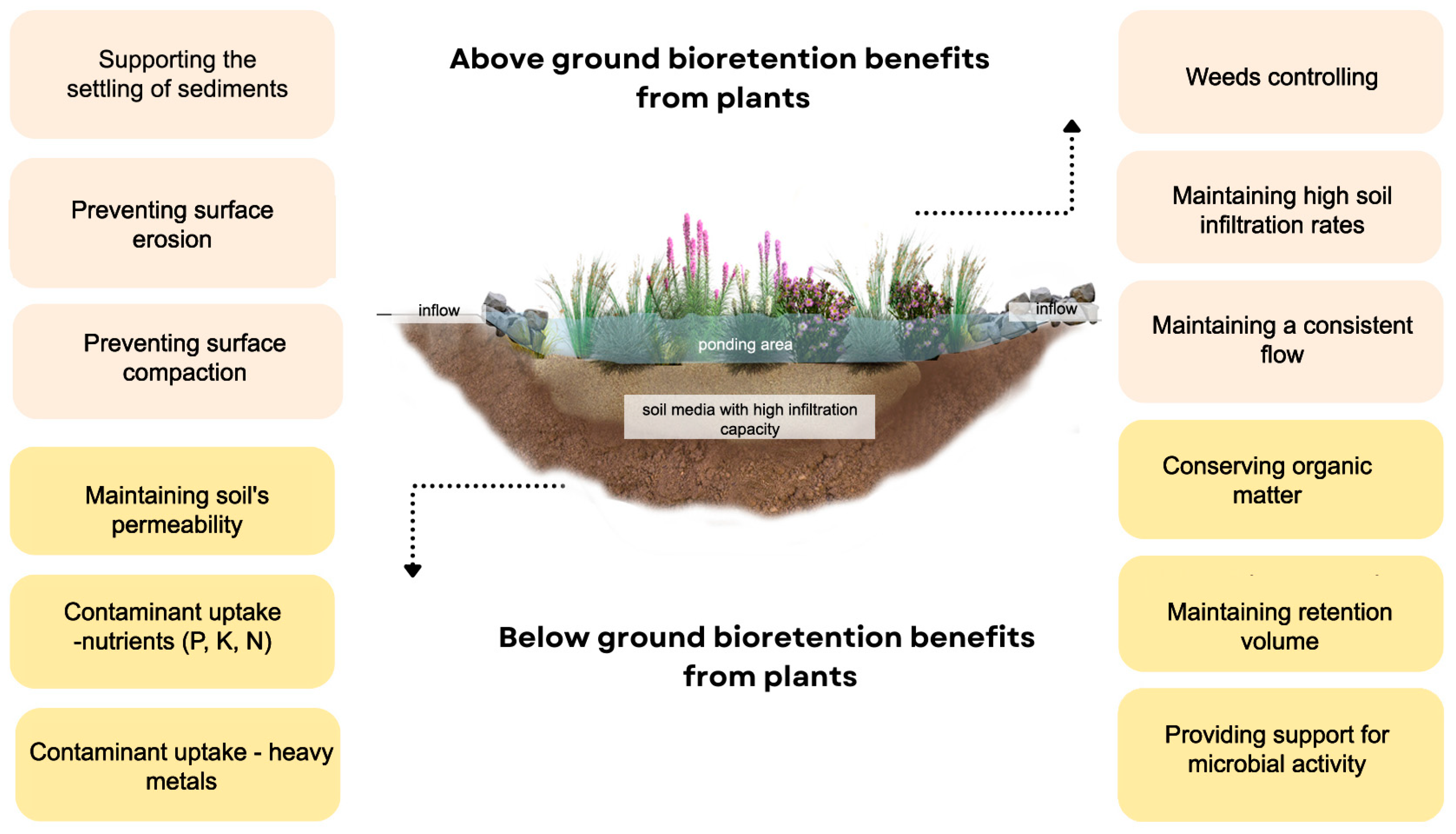 Sustainability 16 03273 g001