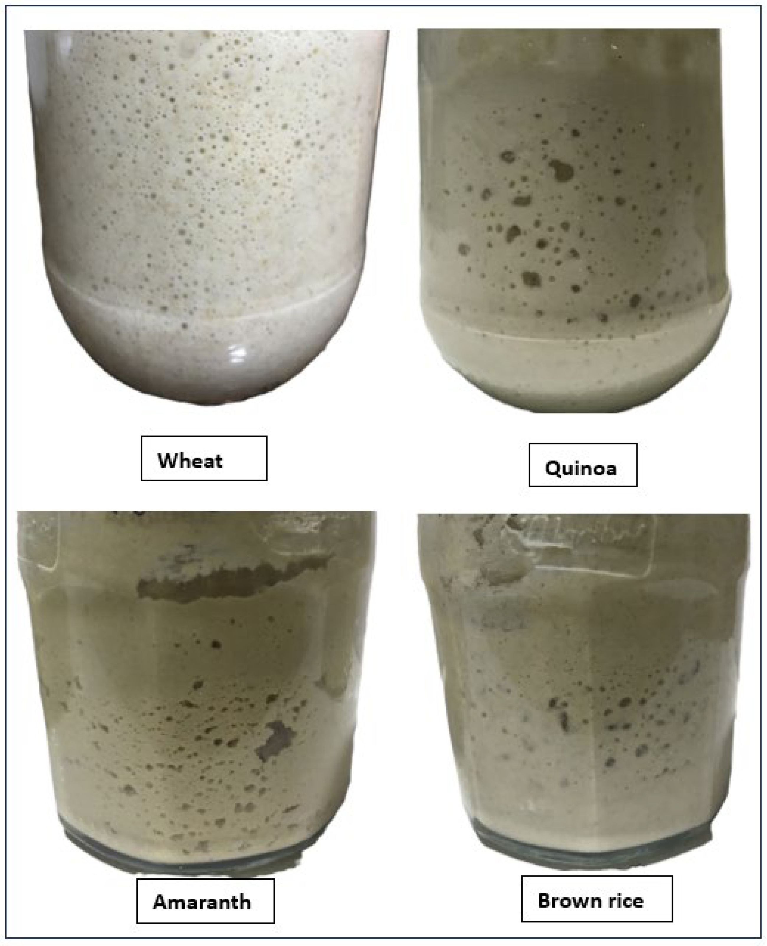 Sustainability 16 03297 g001