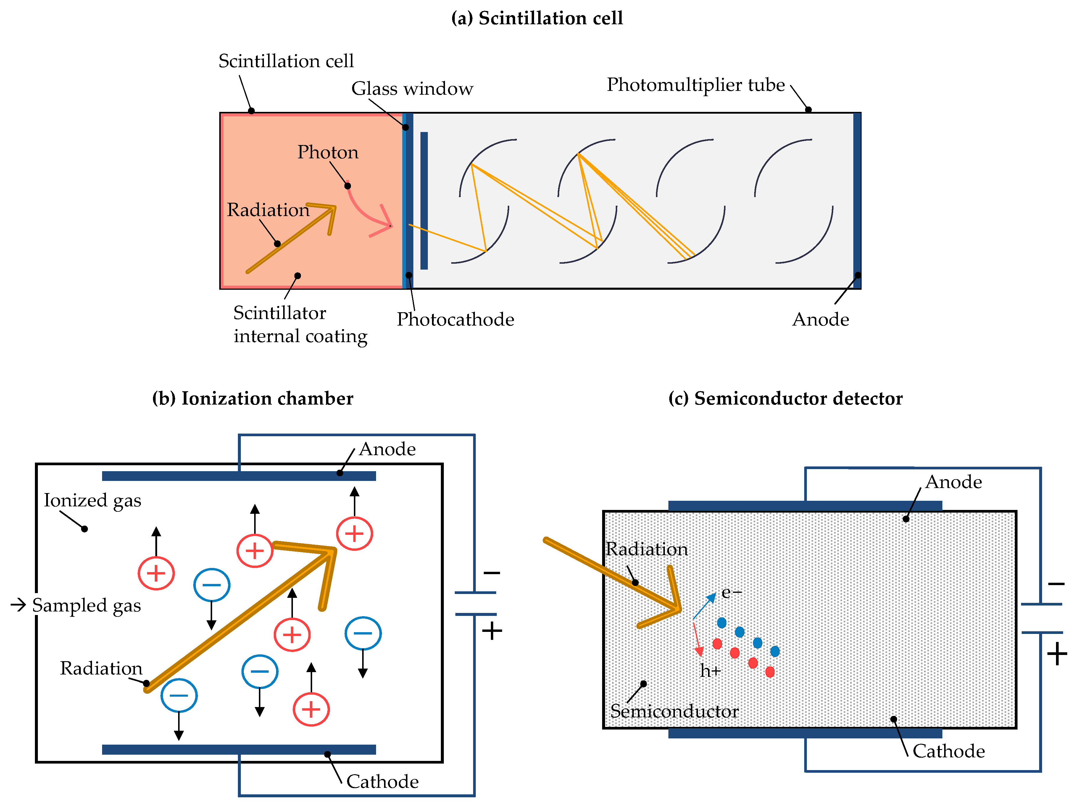 Sustainability 16 03317 g005
