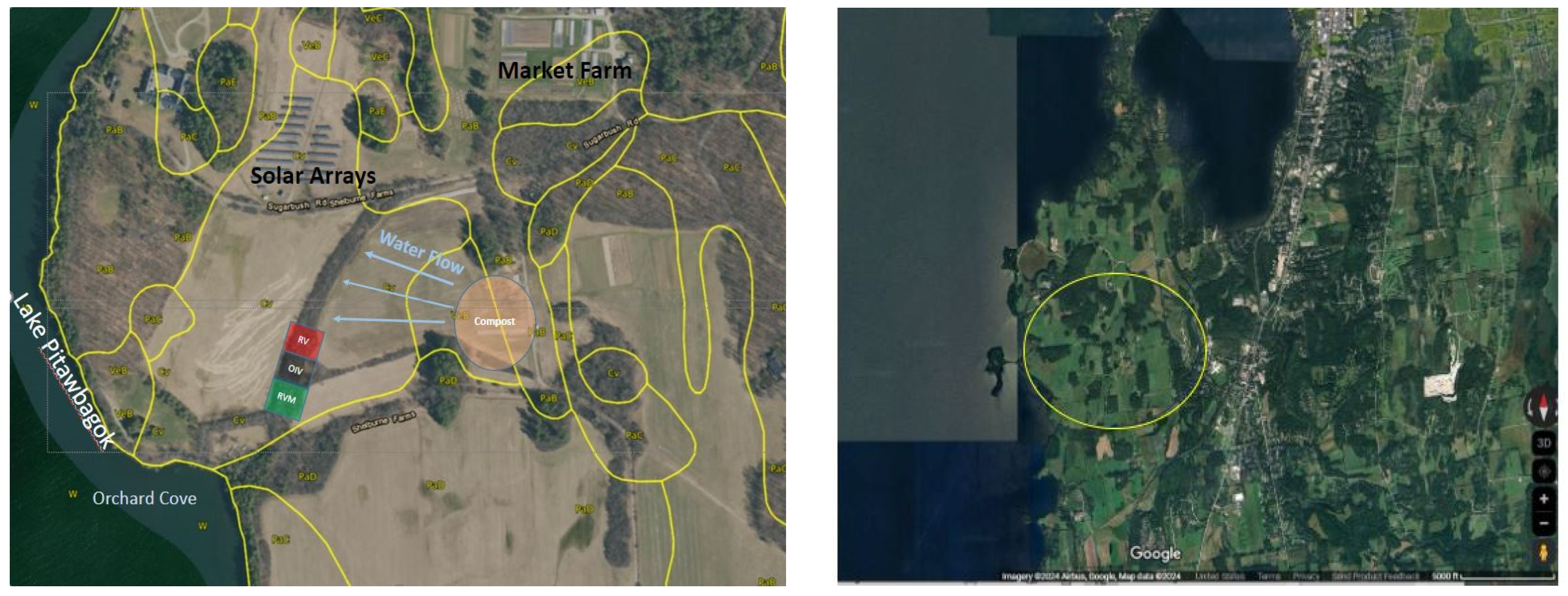 Sustainability 16 03366 g001