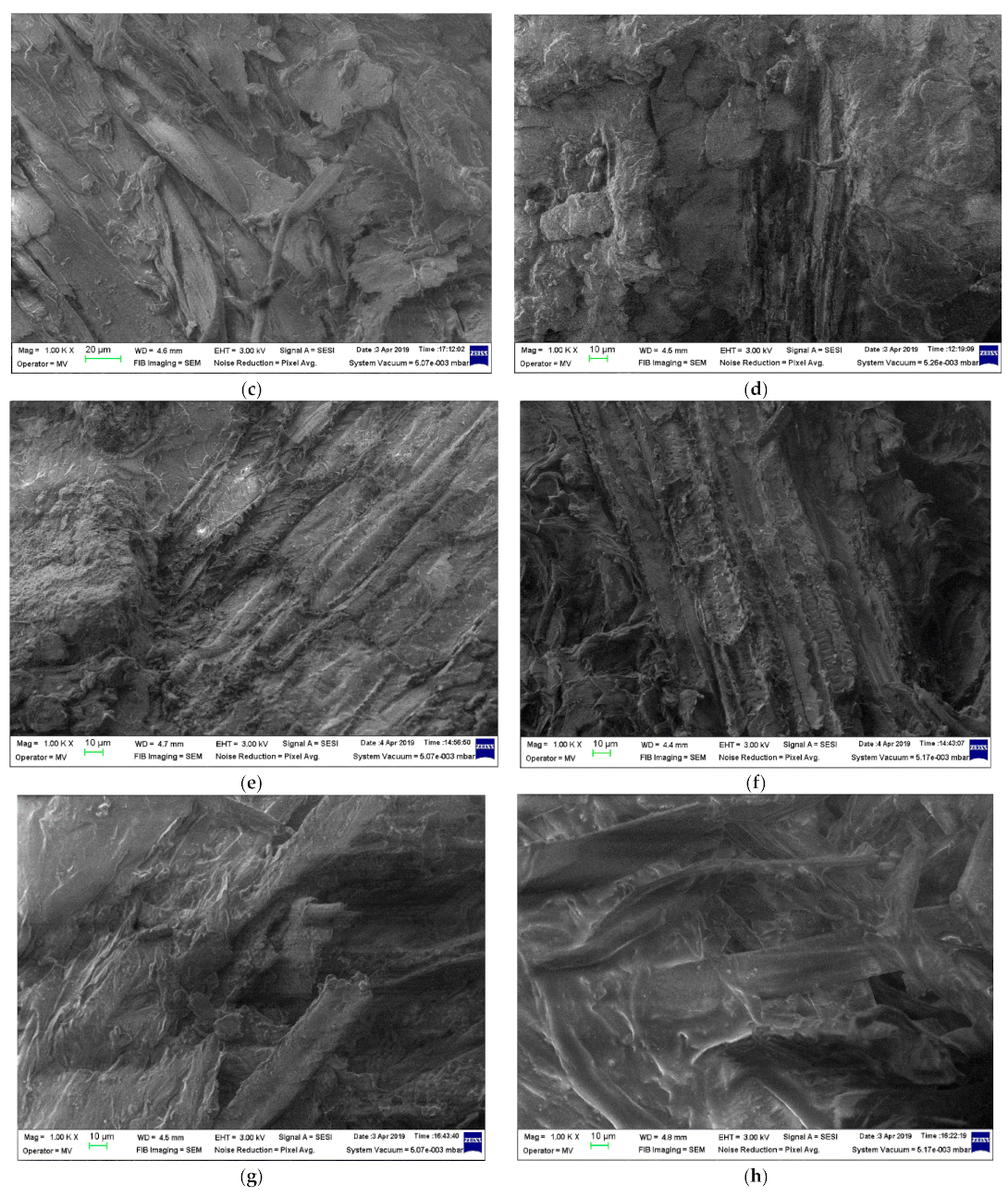 Sustainability 16 03430 g002b