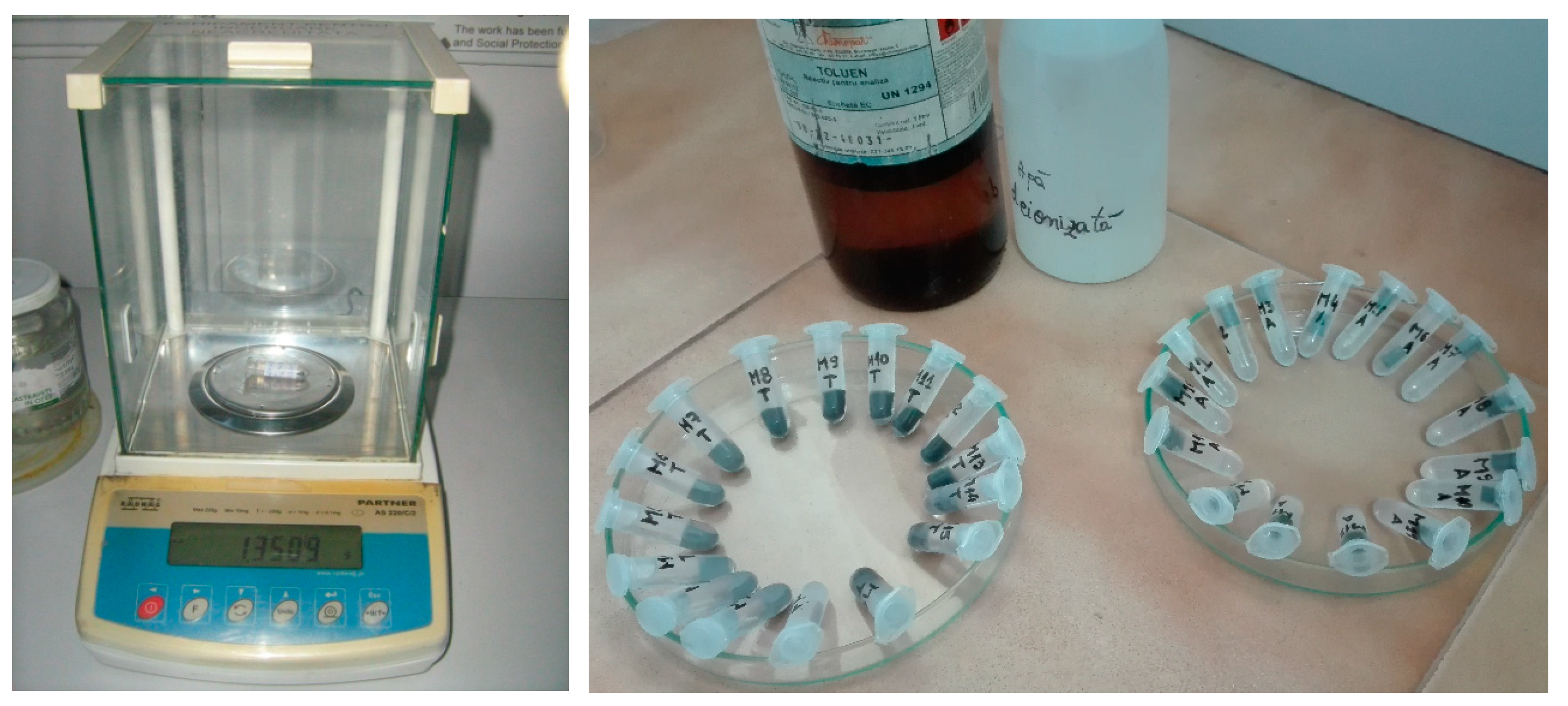 Sustainability 16 03430 g003