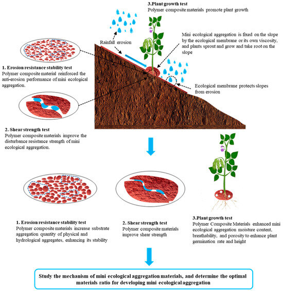 Study on Ecological Mini-Aggregations Based on Polymer Study on Ecological Mini-Aggregations Based on Polymer