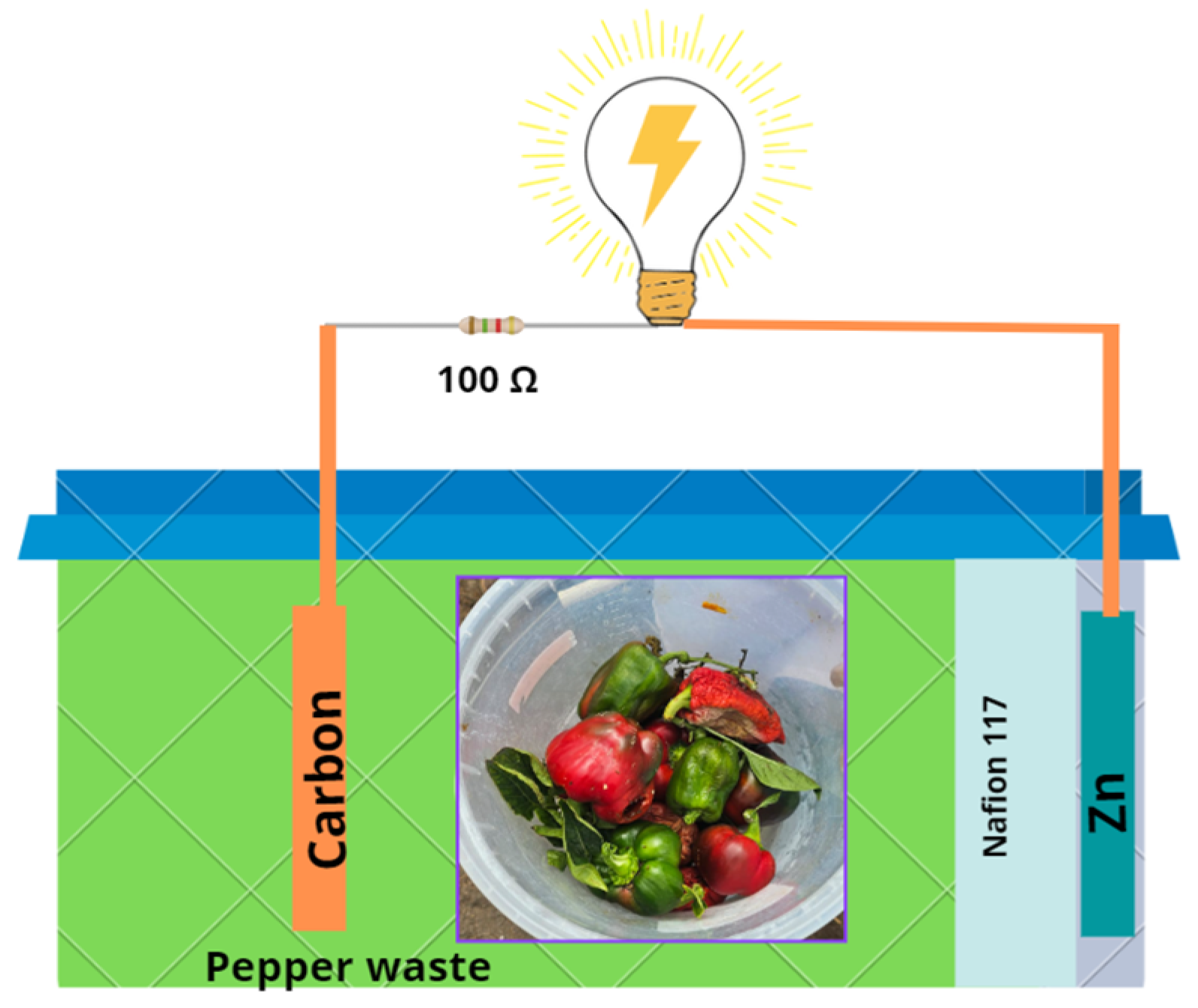 Sustainability 16 03448 g001