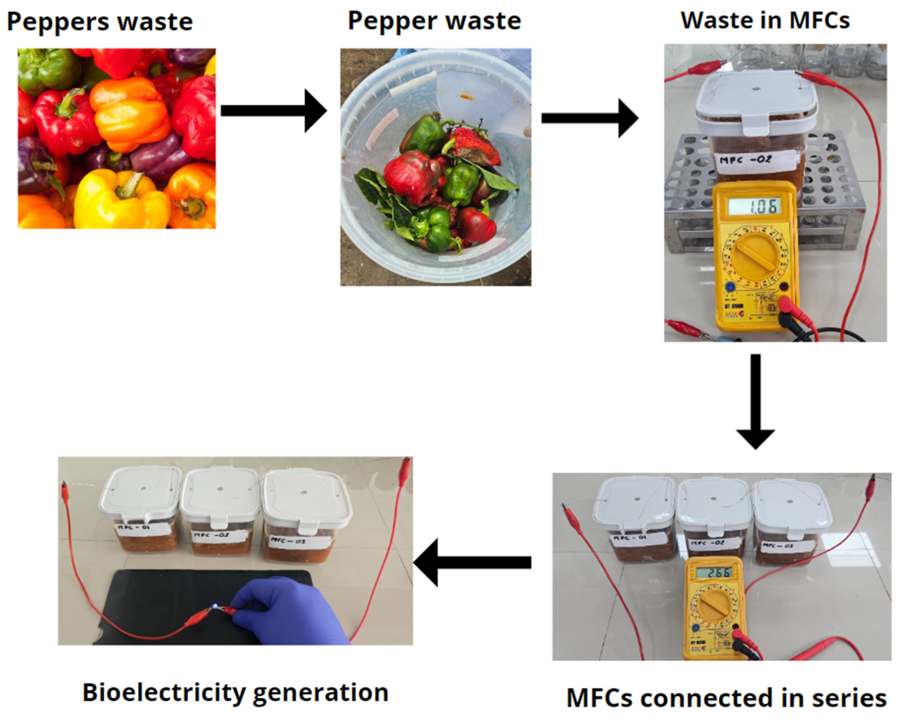 Sustainability 16 03448 g006