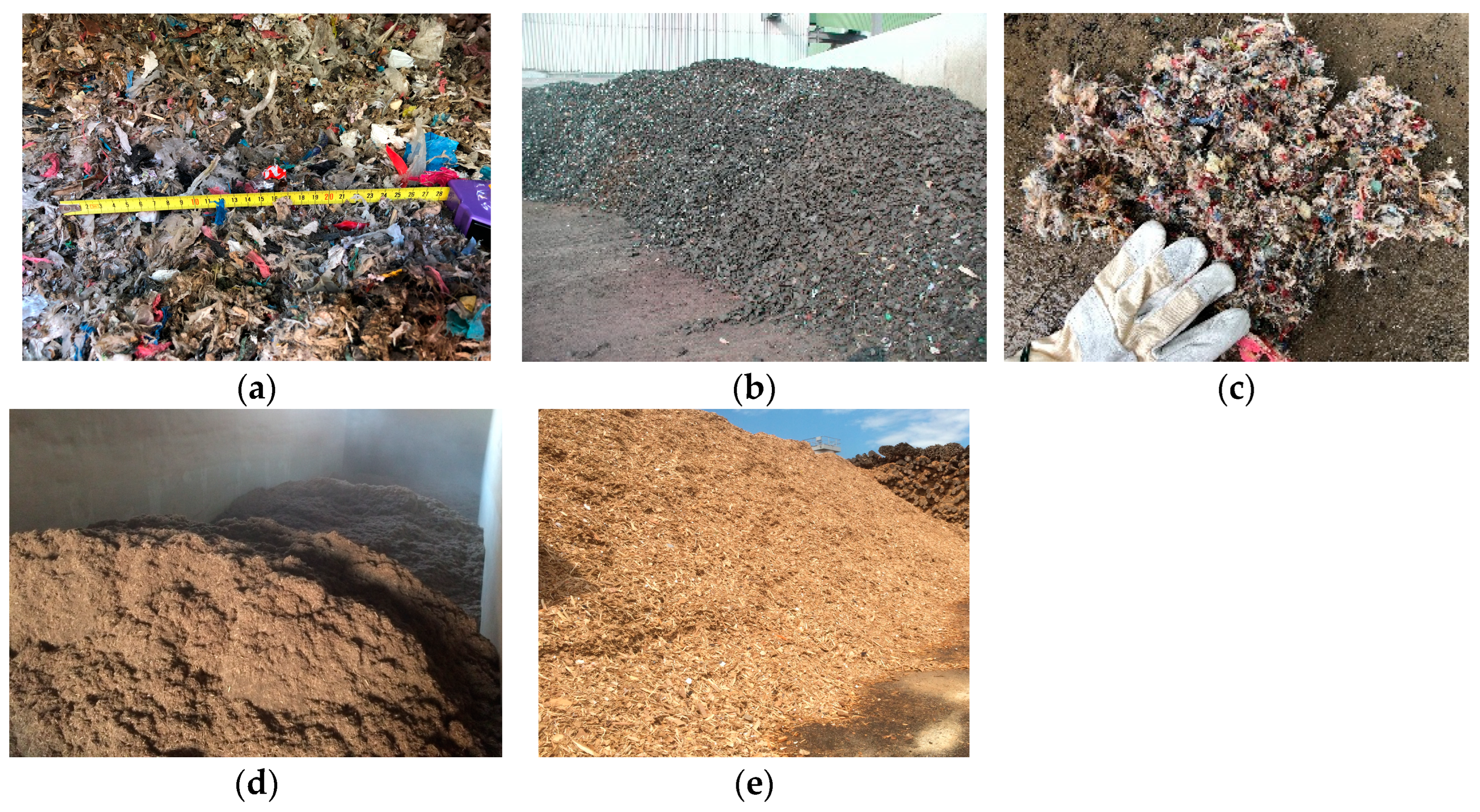 Sustainability 16 03452 g002