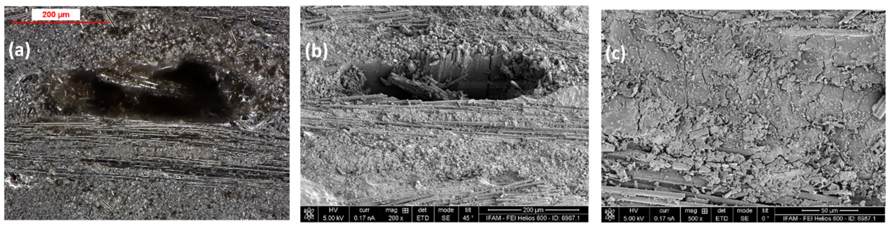 Sustainability 16 03486 g012