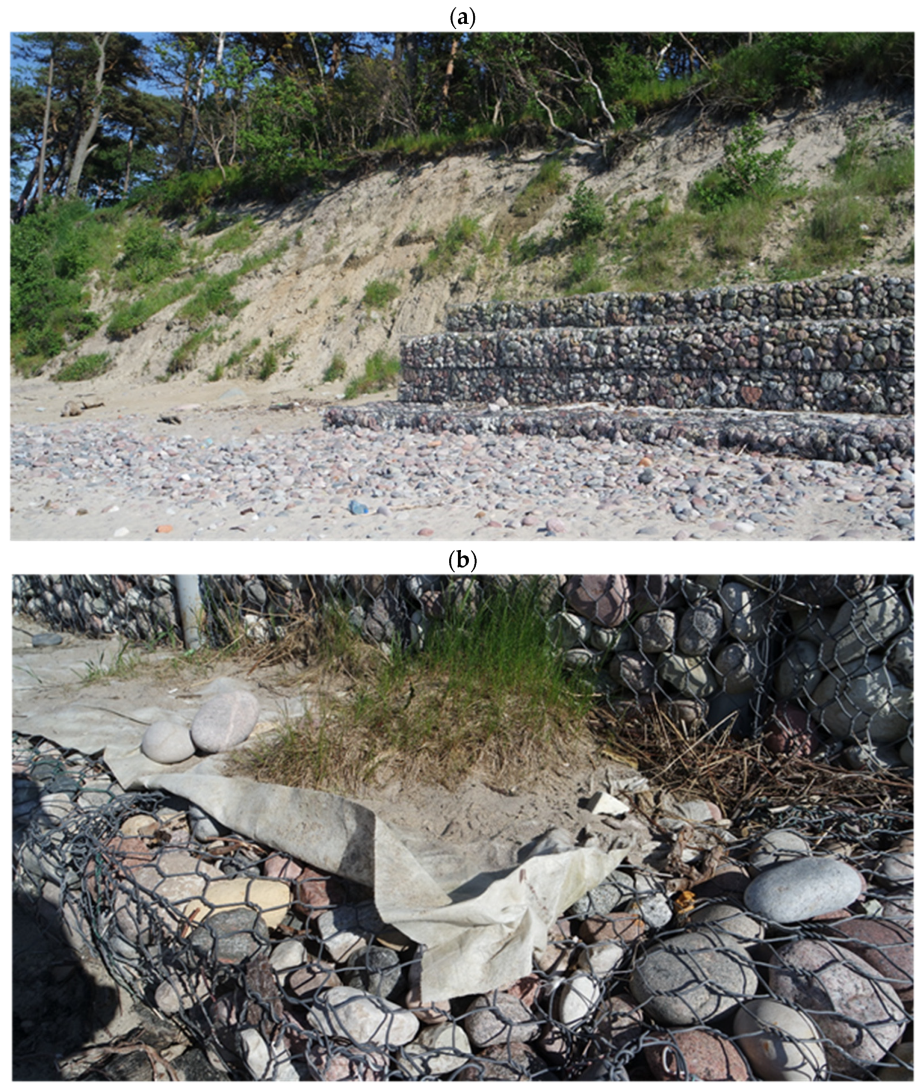 Sustainability 16 03559 g001