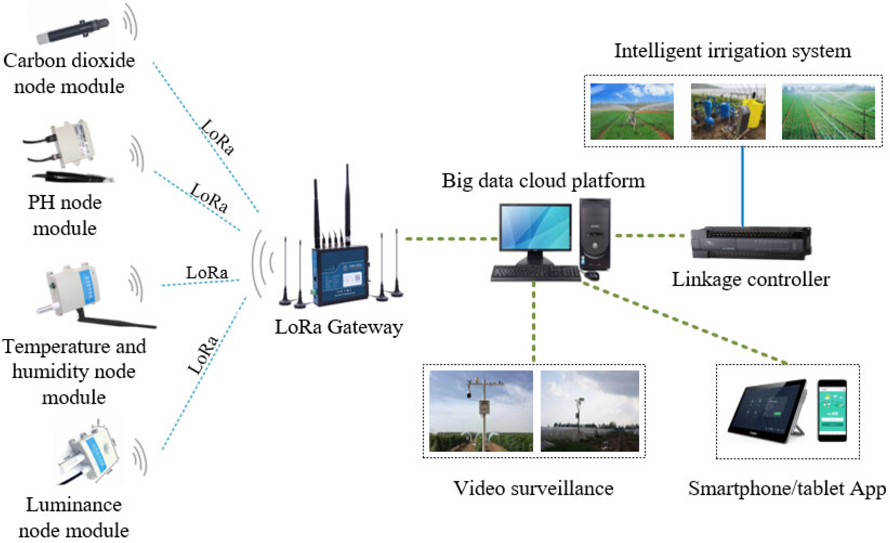 Sustainability 16 03575 g004