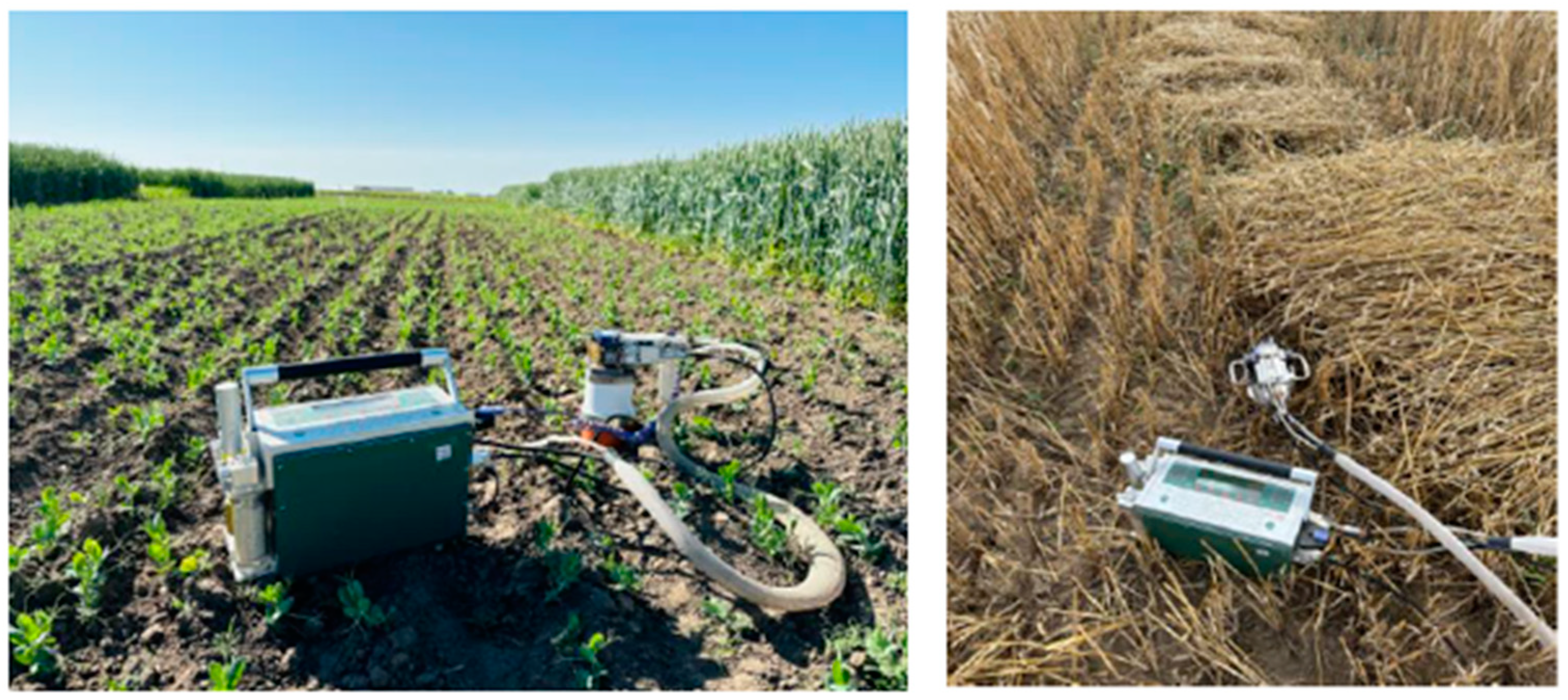 Sustainability 16 03591 g005