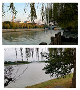 Sustainability 16 03602 i002 Sustainability 16 03602 i002