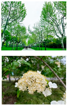 Sustainability 16 03602 i008 Sustainability 16 03602 i008