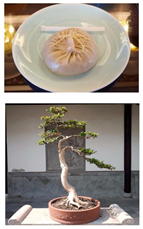 Sustainability 16 03602 i010 Sustainability 16 03602 i010