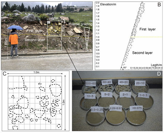 Distribution and Stabilization Mechanisms of Stable